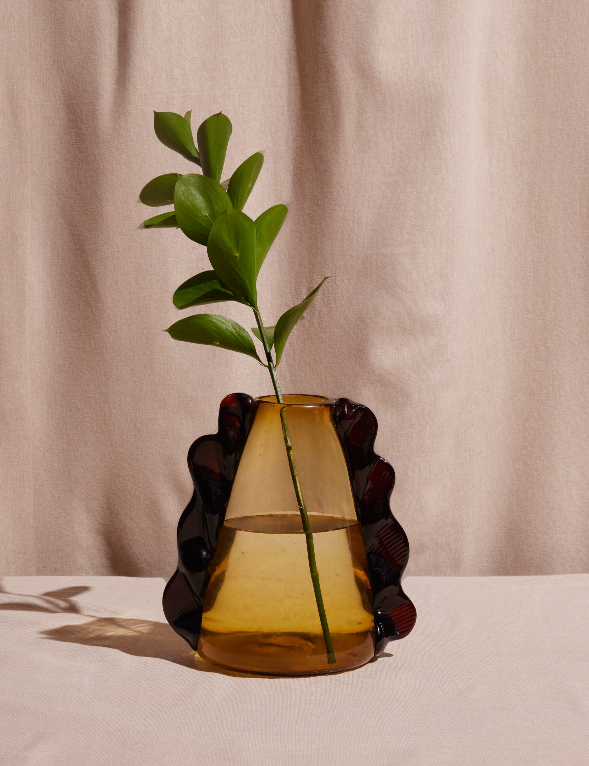 Meso Betta Vase - Handmade Glass Fish Bowl for Betta Fish with Unique Design - Perfect for Home Decor, Office Desk, or Gift Giving