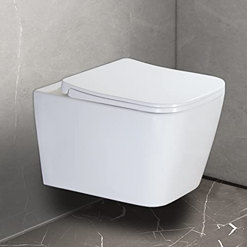 White WZ5923