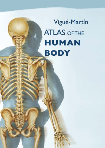 Comprehensive Atlas of the Human Body - Detailed Anatomy Reference Book for Medical Students & Healthcare Professionals | Perfect for Study, Research & Clinical Practice