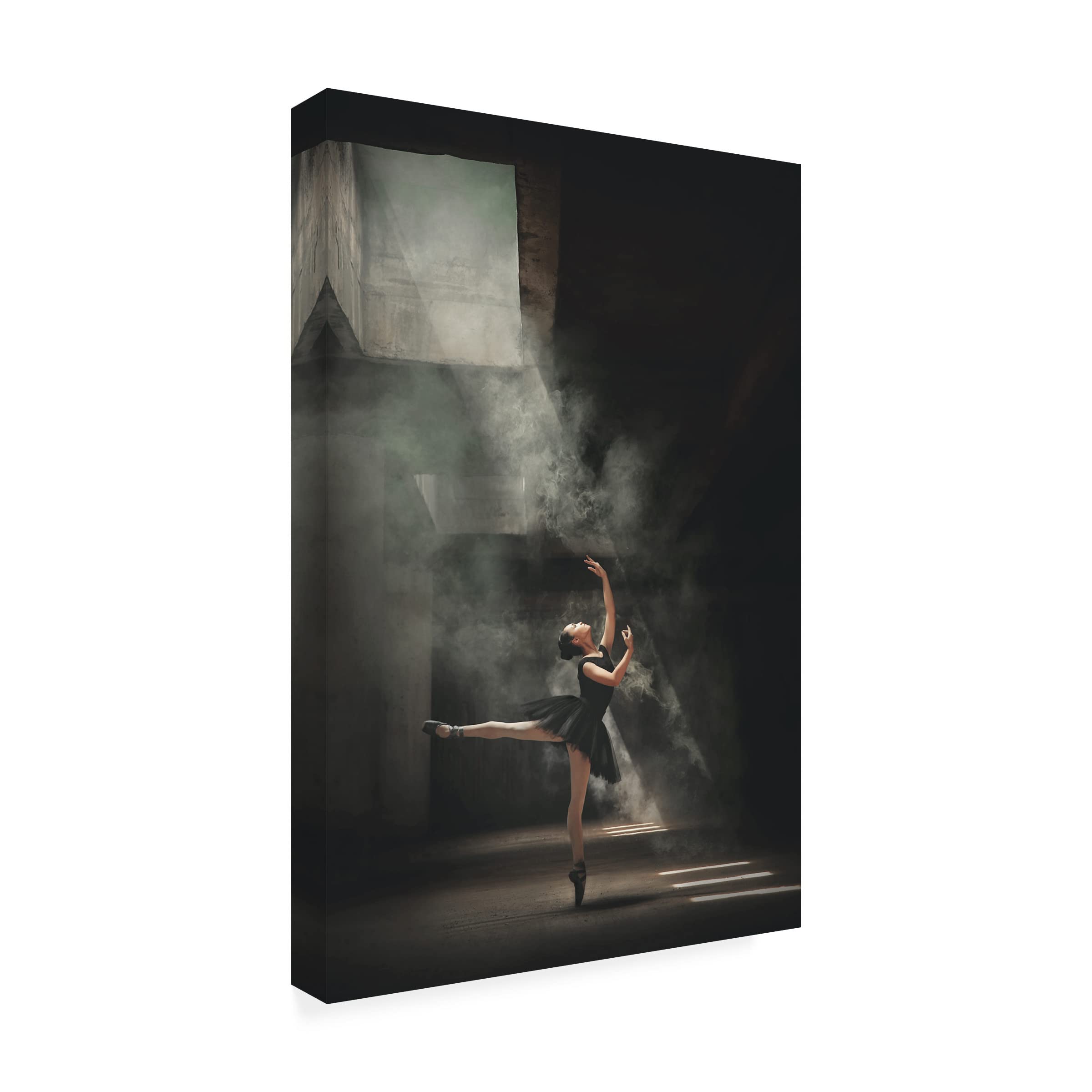 Trademark Fine Art 'Sashafadilaa' Canvas Wall Art Print by Sebastian Kisworo - Modern Home Decor for Living Room, Bedroom & Office