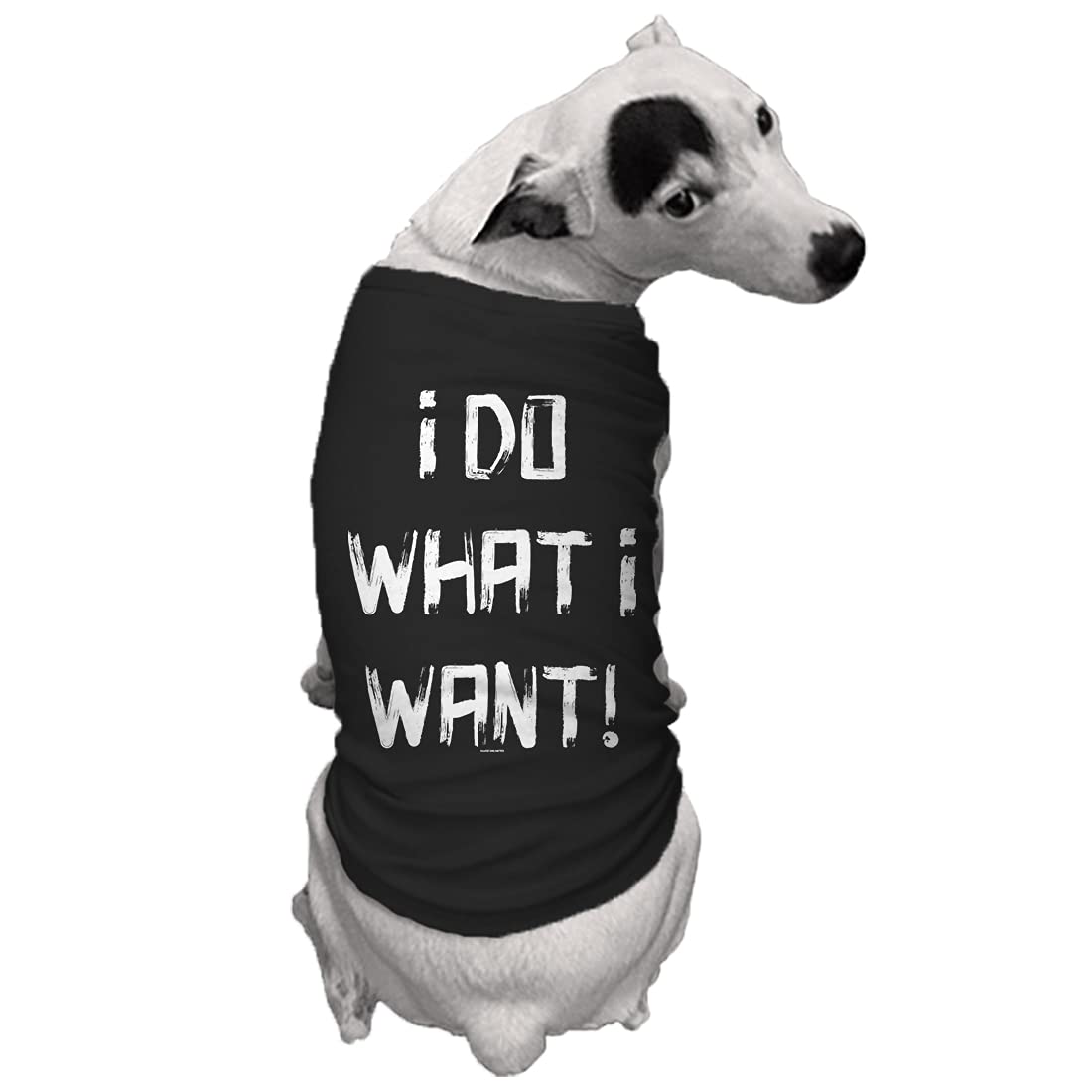 I Do What I Want