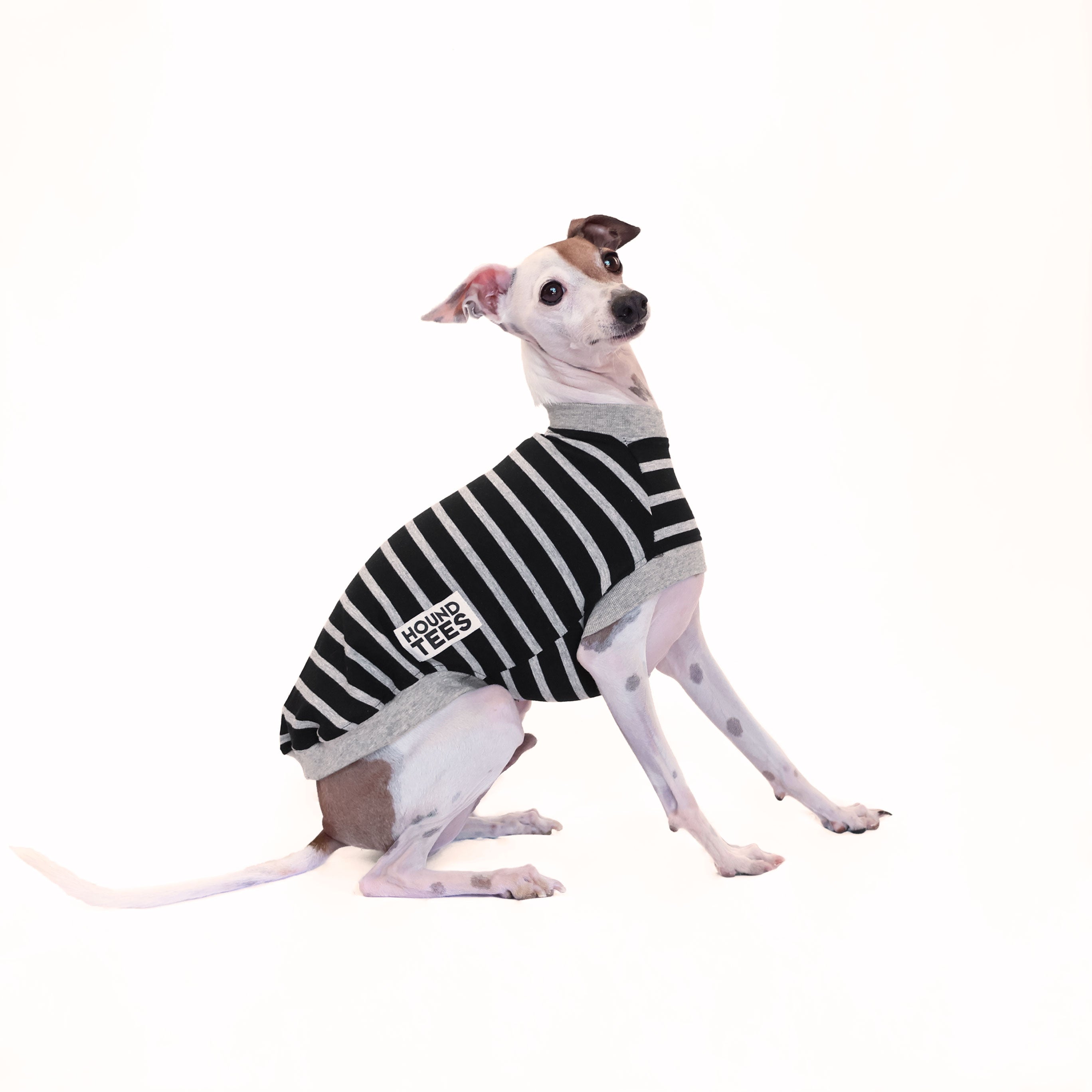 Rebel Italian Greyhound Sleeveless Hound Tee - Trendy Dog Lover T-Shirt for Women & Men - Perfect for Casual Wear, Dog Walks, and Pet Lover Gifts