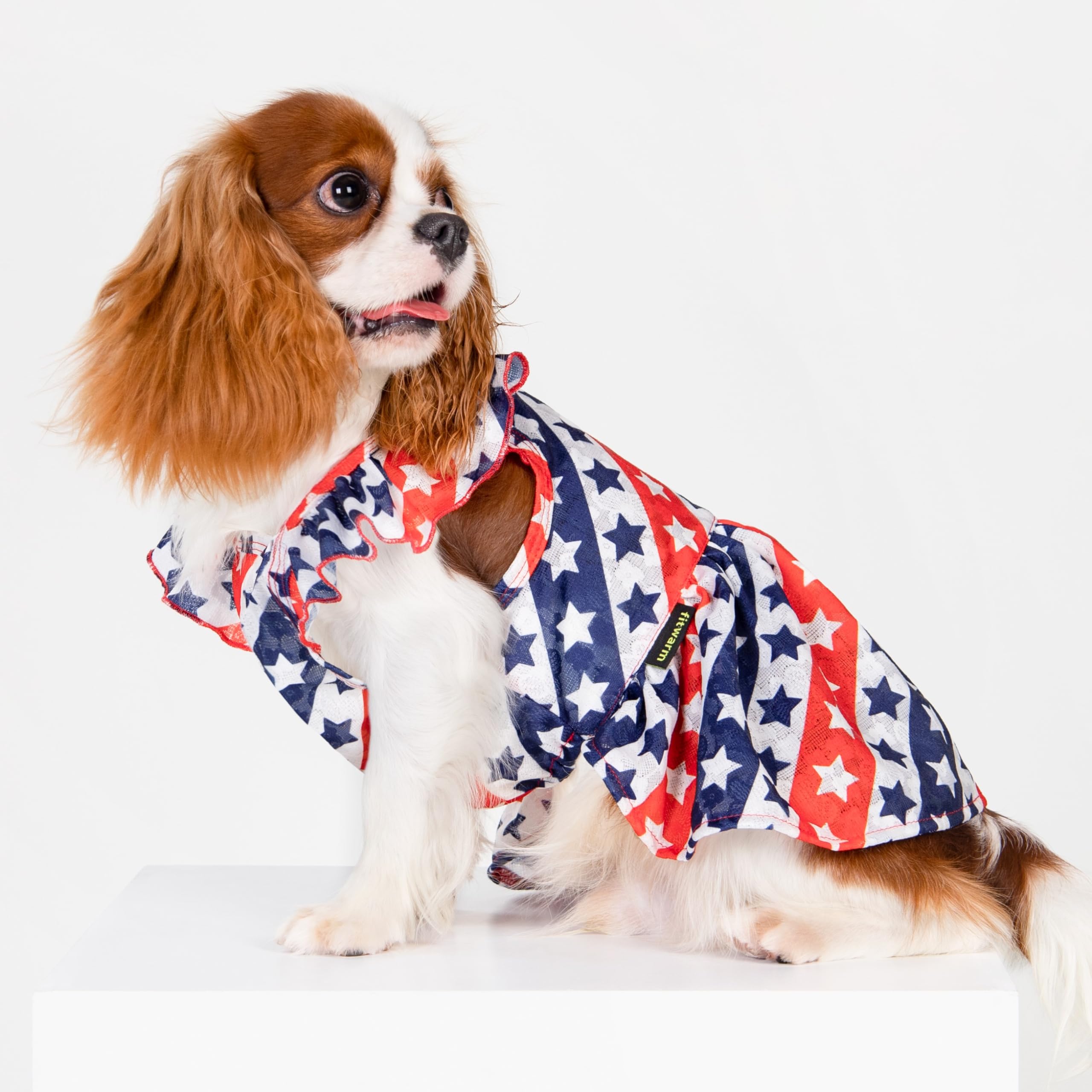 Fitwarm Patriotic Stars Dog Dress for Small Dogs - Red, White & Blue Ruffled Princess Outfit for July 4th & National Holidays | Perfect for Independence Day Parades, Pet Costume Parties & Photo Shoots