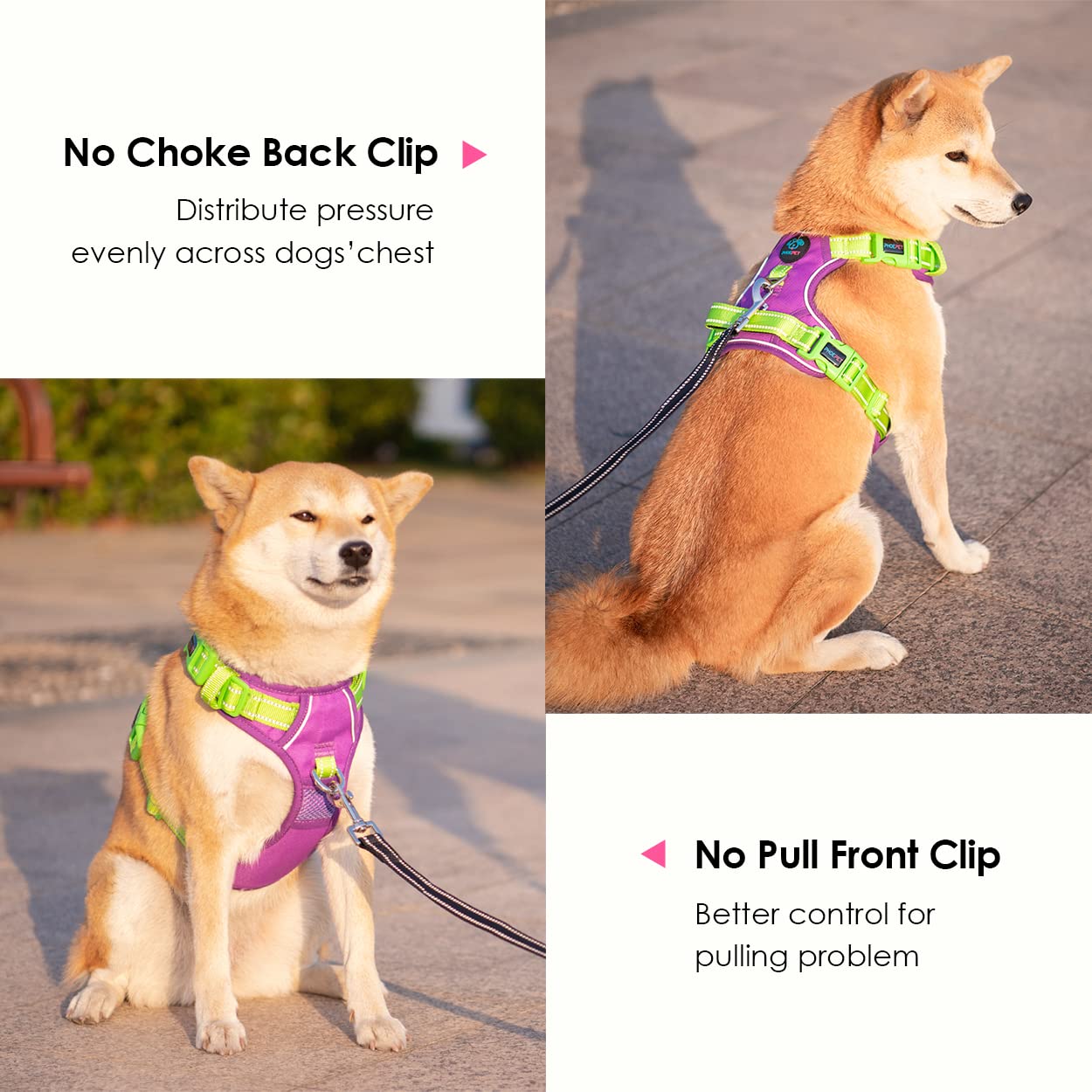 PHOEPET No Pull Dog Harness - Reflective Adjustable Vest with Soft Training Handle & Metal Clips for Small, Medium, Large Dogs - Purple Base & Green Straps (XS) | Perfect for Walking, Training & Nighttime Safety