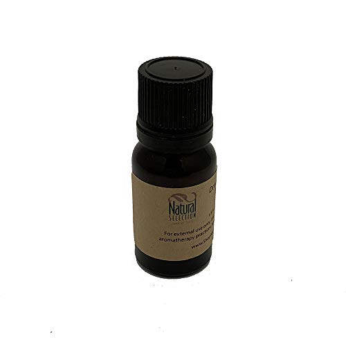 1/3 oz Pure Lilac Essential Oil for Aromatherapy, Massage & DIY Skincare | Relaxing Floral Scent for Home Diffuser, Bath & Spa
