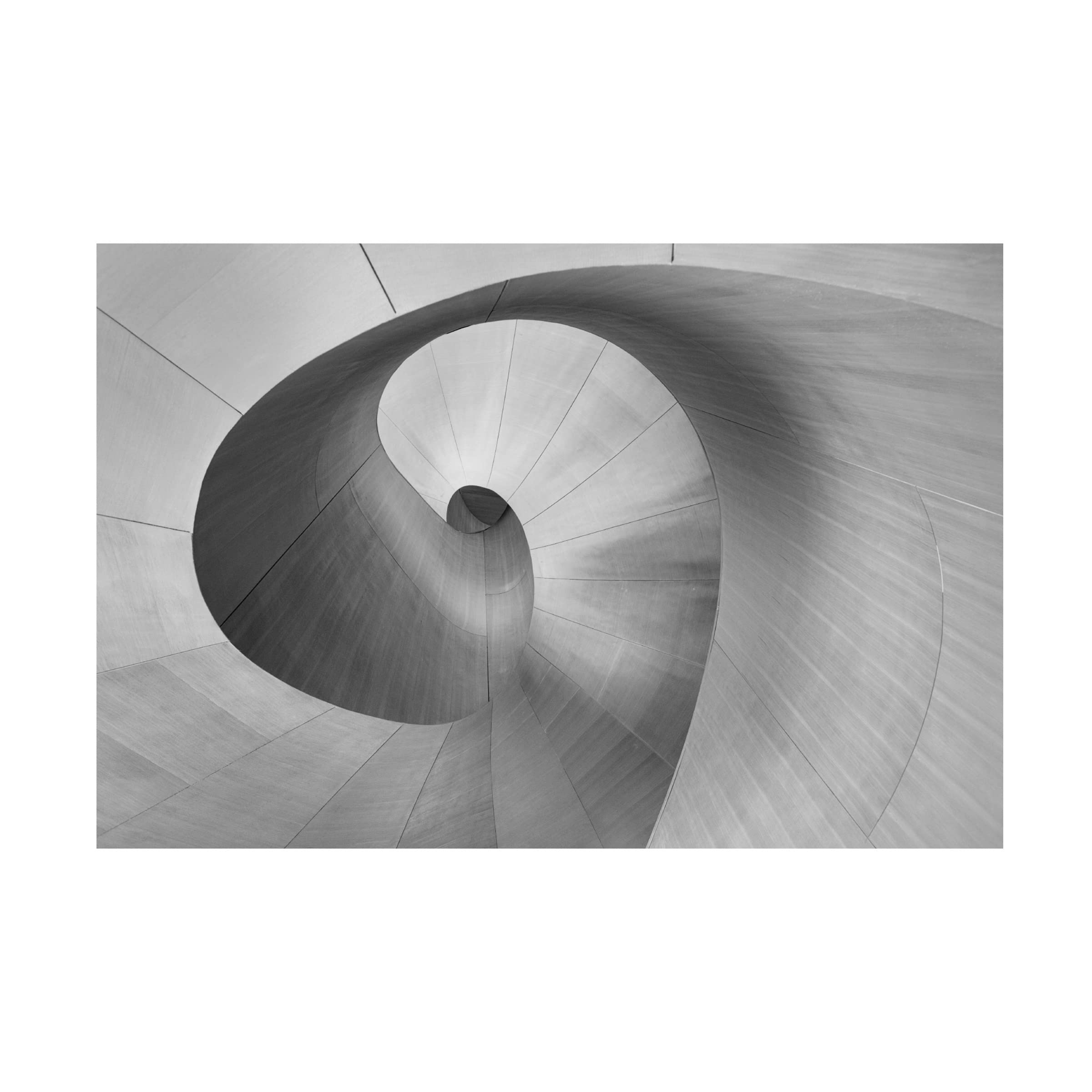 Trademark Fine Art 'Curves' Abstract Canvas Painting by Bo Chen - Modern Wall Art for Living Room, Bedroom & Office Decor