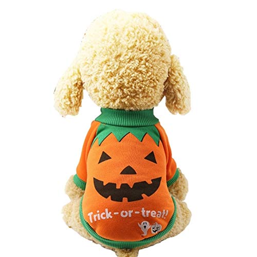 Funny Halloween Dog Costume - Witch Outfit with Pumpkin Design, Two-Feet Pet Clothes Size S | Perfect for Halloween Parties, Pet Parades & Photo Shoots