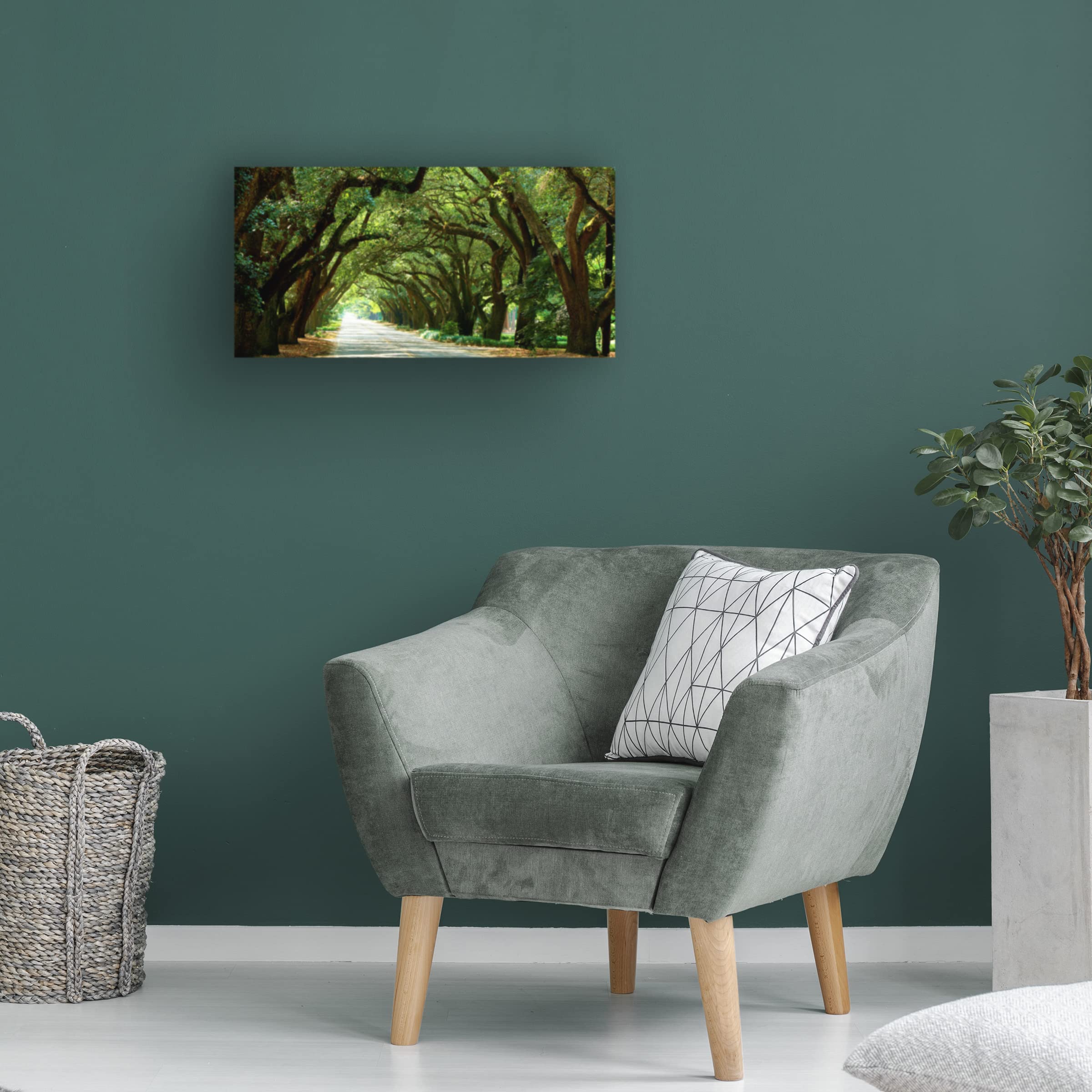 James McLoughlin 'Canopy Road Panorama I' 12x24 Canvas Wall Art Print - Landscape Nature Painting for Living Room, Bedroom & Office Decor