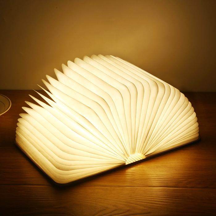 Rechargeable LED Book Light for Reading - Adjustable Clip-On Bookmark Lamp, Perfect for Night Reading, Studying, and Bedtime Stories