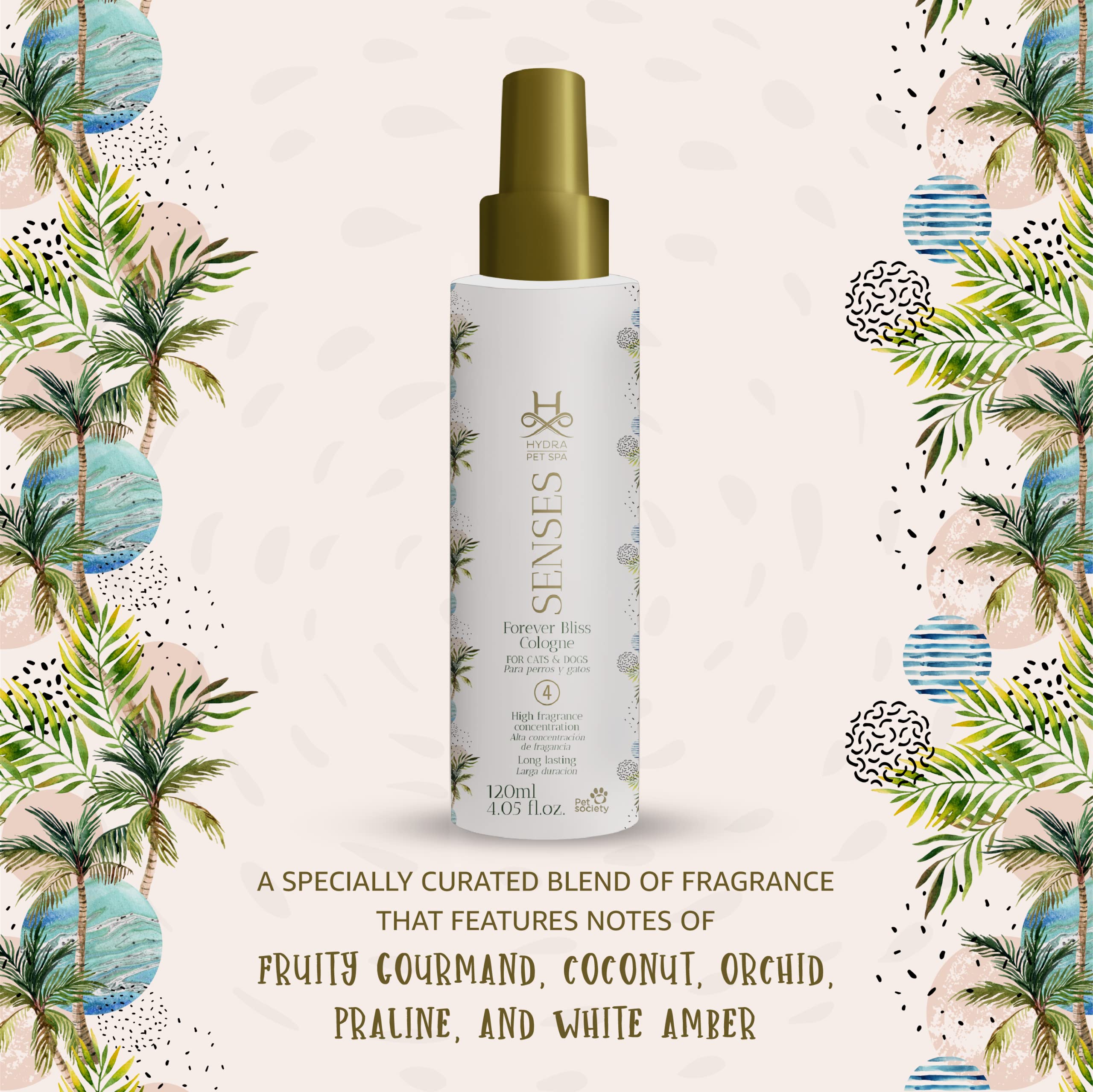 Hydra Senses Bliss Cologne for Men - Long Lasting Fresh Fragrance for Daily Wear, Work & Special Occasions