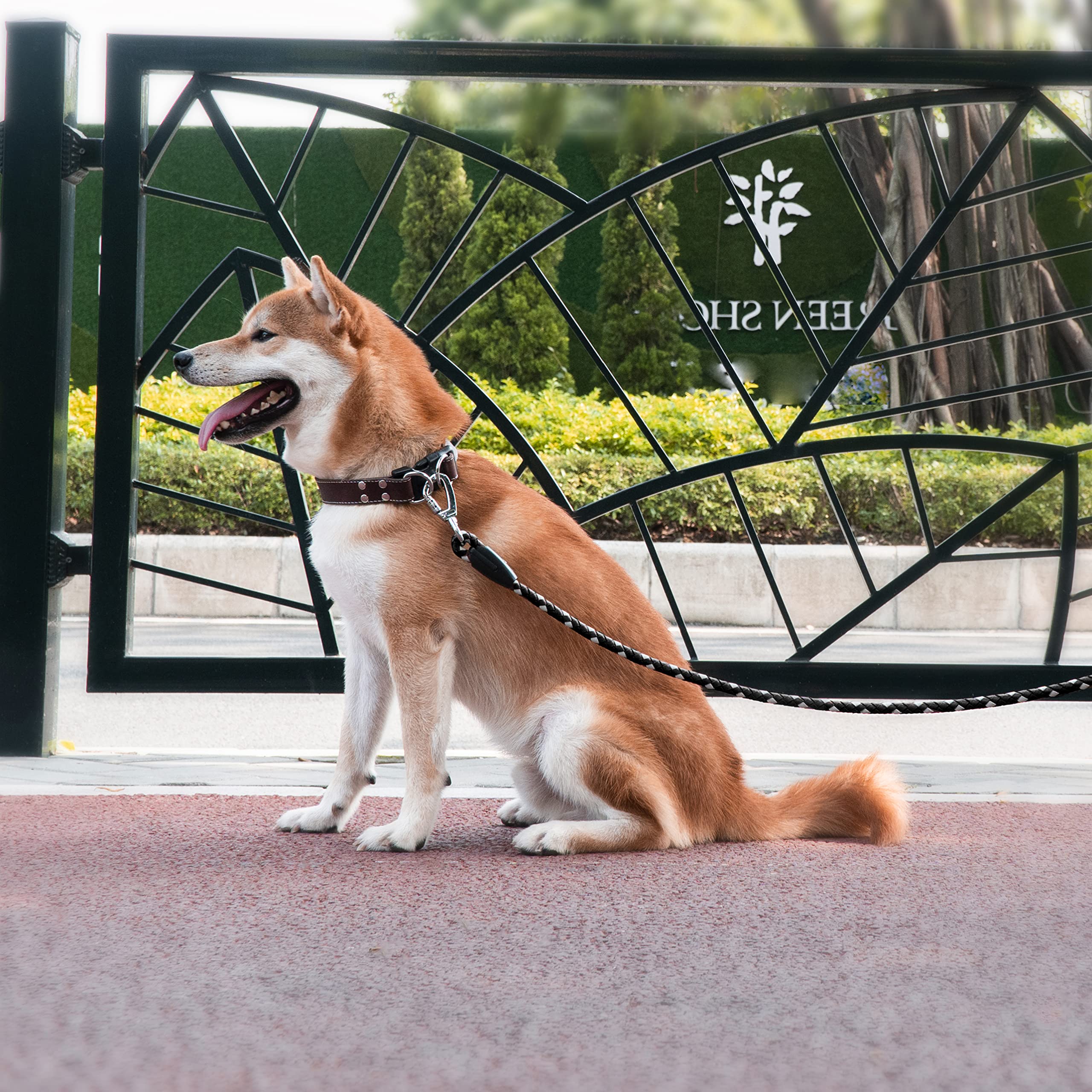 Premium Braided Leather Dog Leash - 4FT/5FT/6FT Heavy Duty Training Leash for Large, Medium & Small Dogs | Reflective & Durable (Black, 2/5
