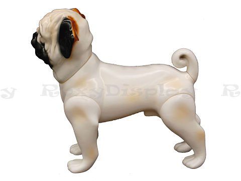 MD-DOG04 ROXY DISPLAY® Realistic Small Dog Mannequin - Cute White Pug Plastic Display Model for Pet Store, Photography & Window Decoration