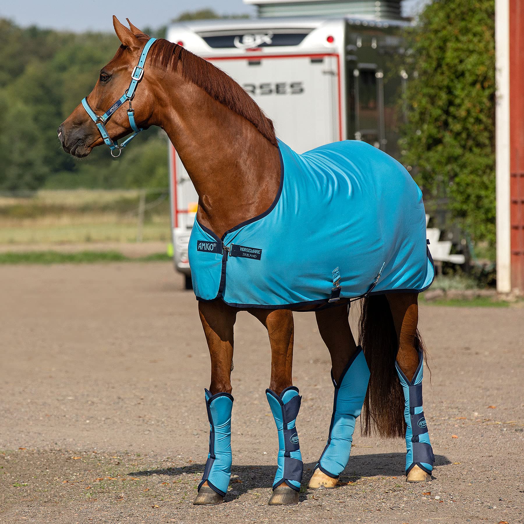Horseware Ireland Amigo Ripstop Travel Boots for Horses - Delphinium Blue/Navy, Pony Size (DBPT00-DBB0-PY) - Durable Protective Leg Wraps for Trail Riding, Training & Horse Shows