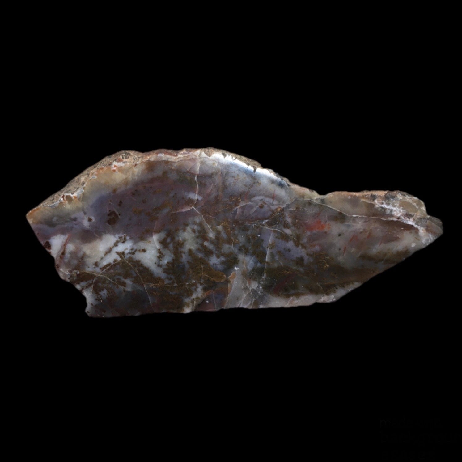 Authentic Dinosaur Coprolite Fossil Specimen - Genuine Prehistoric Dino Poop for Collectors & Science Enthusiasts | Perfect for Educational Displays, Fossil Collections & Unique Home Decor