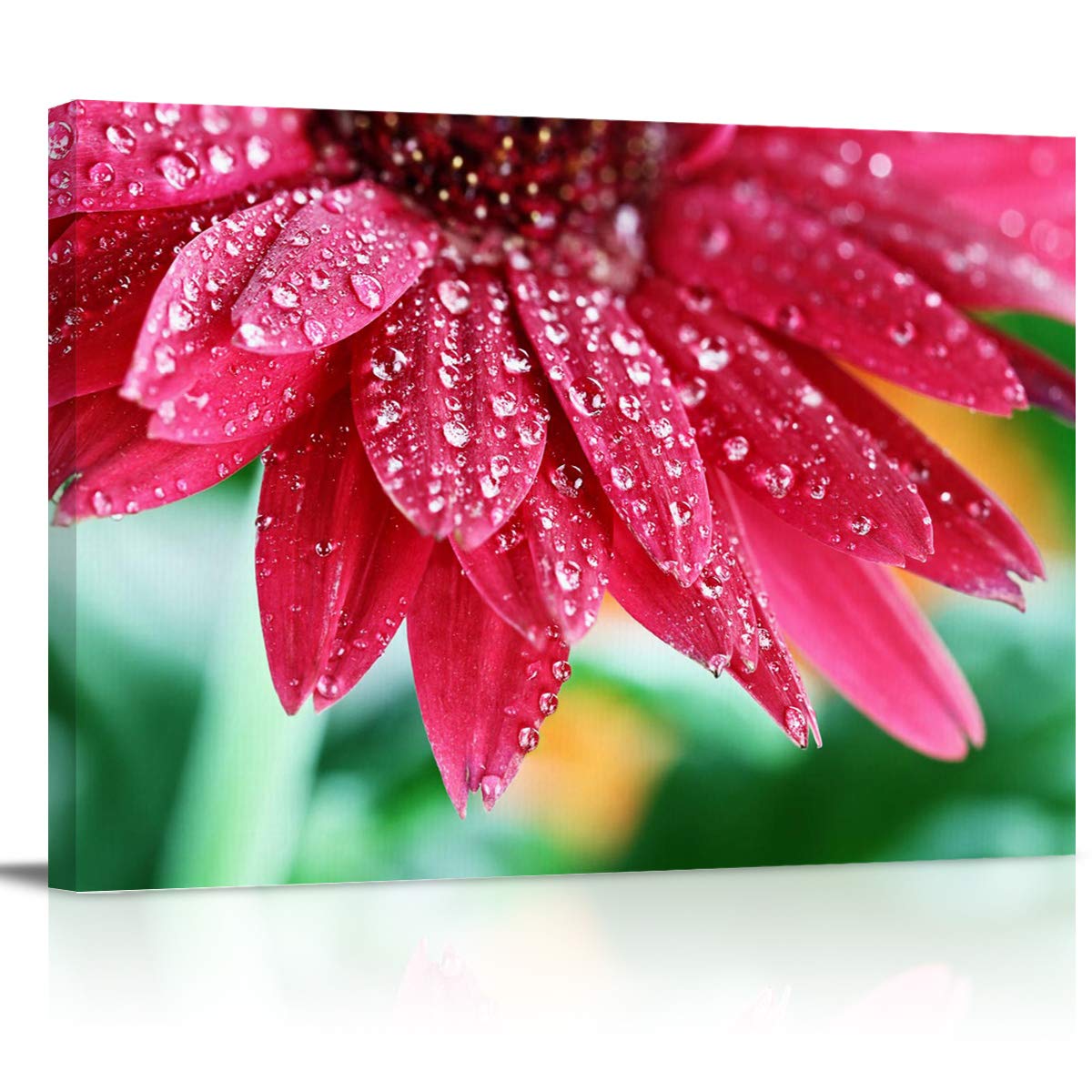 MuswannaA Red Chrysanthemum Flowers with Waterdrops Canvas Wall Art Print - 18''x12'' Stretched & Framed Ready to Hang - Home Decor for Living Room, Bedroom, Office