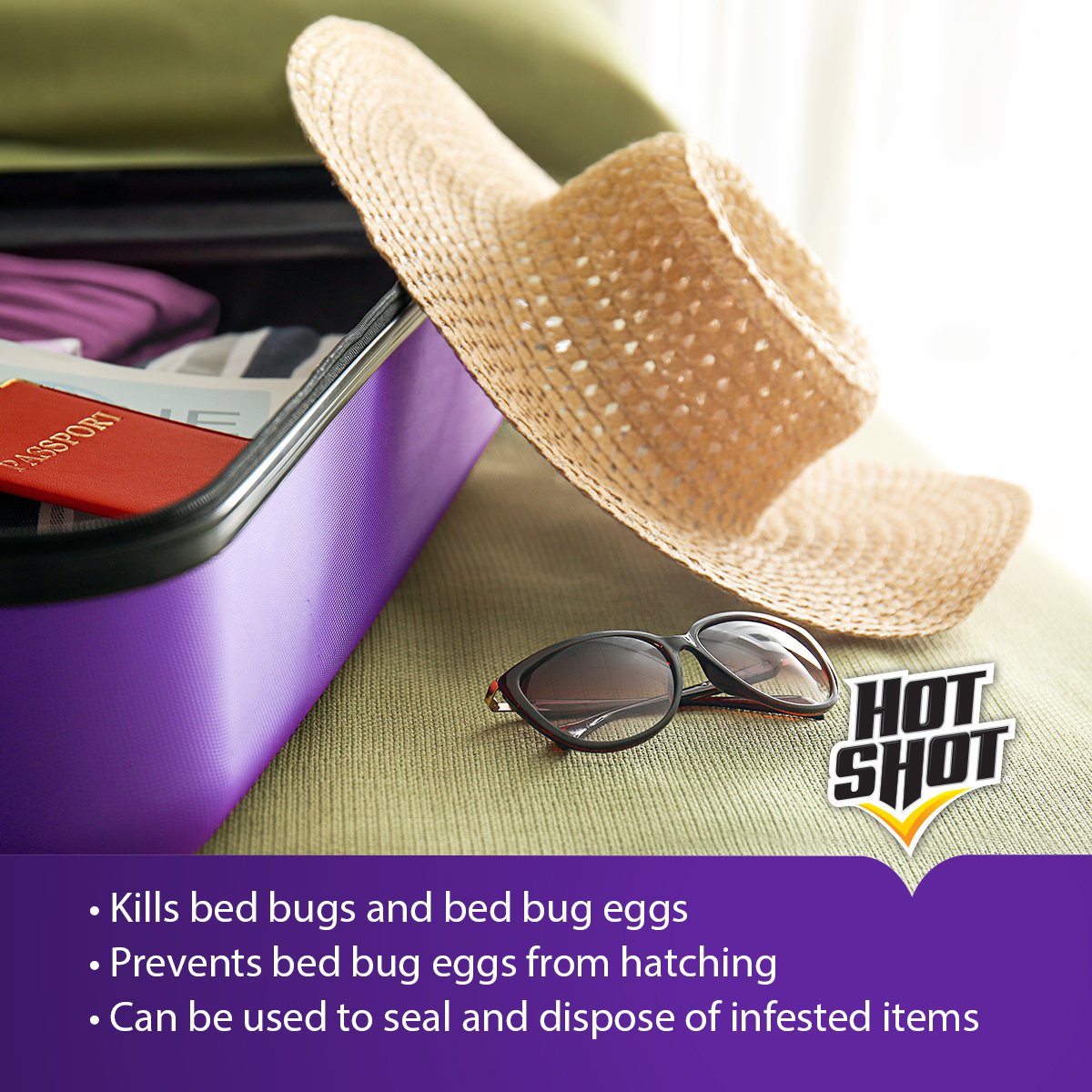 Hot Shot Bedbug Mattress & Luggage Treatment Kit - 6 Pack | Kills Bed Bugs & Eggs | Waterproof Seal for Mattresses, Furniture & Luggage | Ideal for Travel, Home & Hotel Use