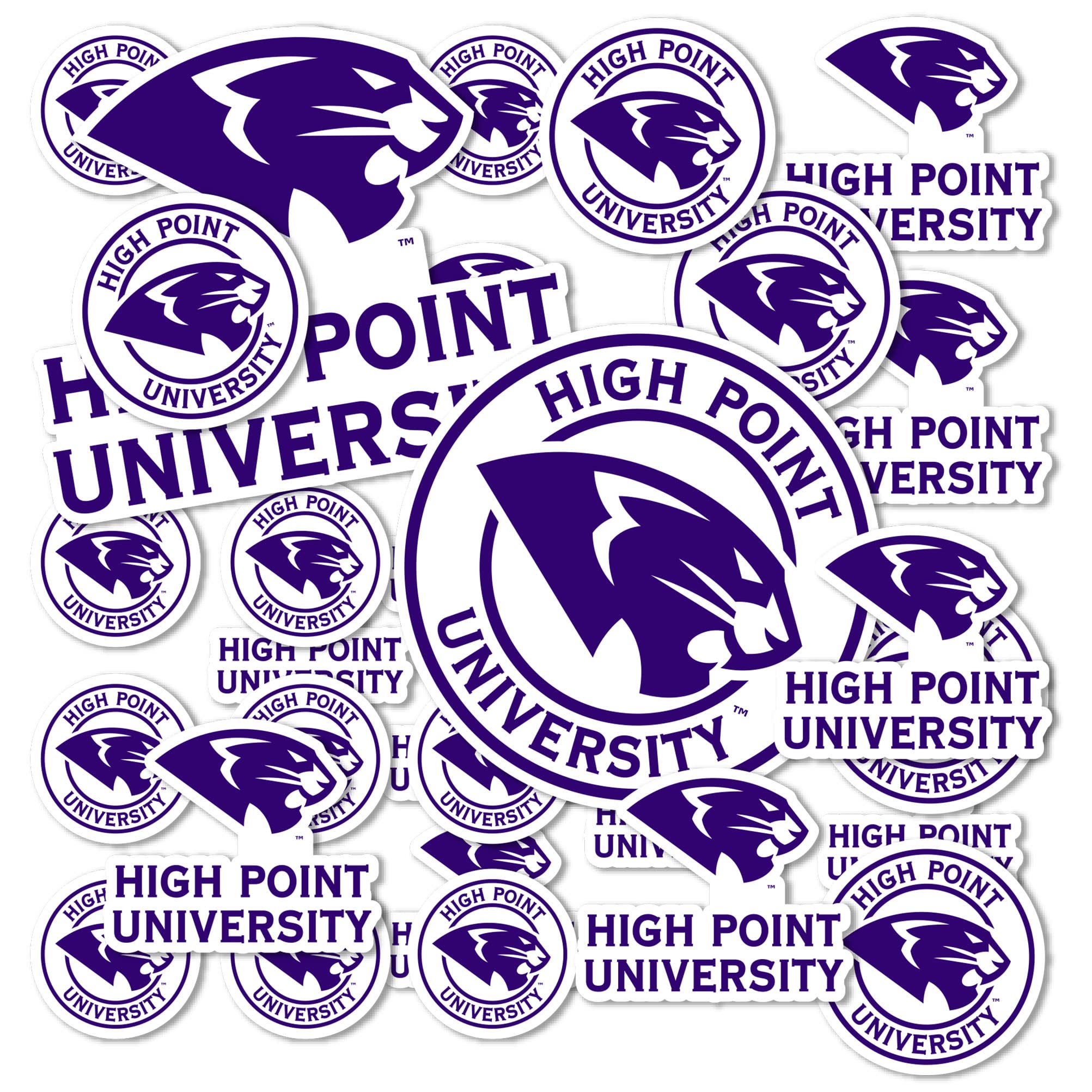 Desert Cactus High Point University HPU Panthers Vinyl Decals - Waterproof Stickers for Laptop, Water Bottle, Car & Scrapbook - Perfect for School Spirit, College Dorm Decor & Fan Gifts (Type 1-1)