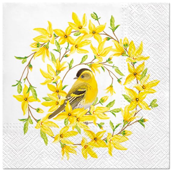 Forsythia Bird