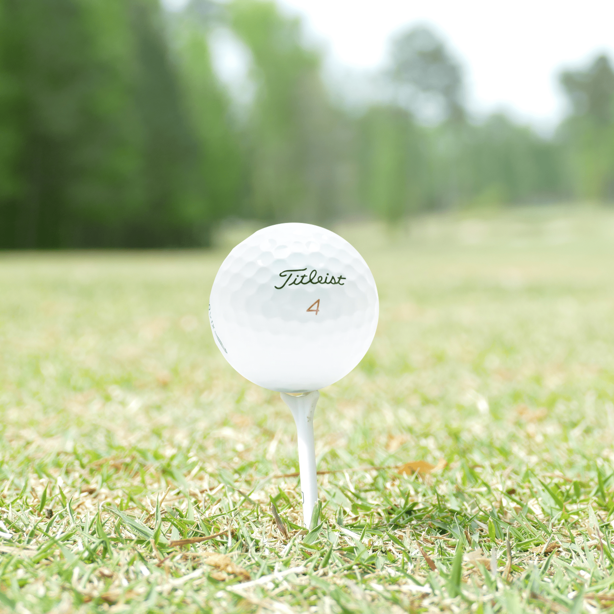 Premium Used Titleist 2021 Pro V1x Golf Balls - 12 Pack (1 Dozen) | High Performance Tour Golf Balls for Men & Women | Perfect for Driving Range, Tournament Play & Practice Sessions