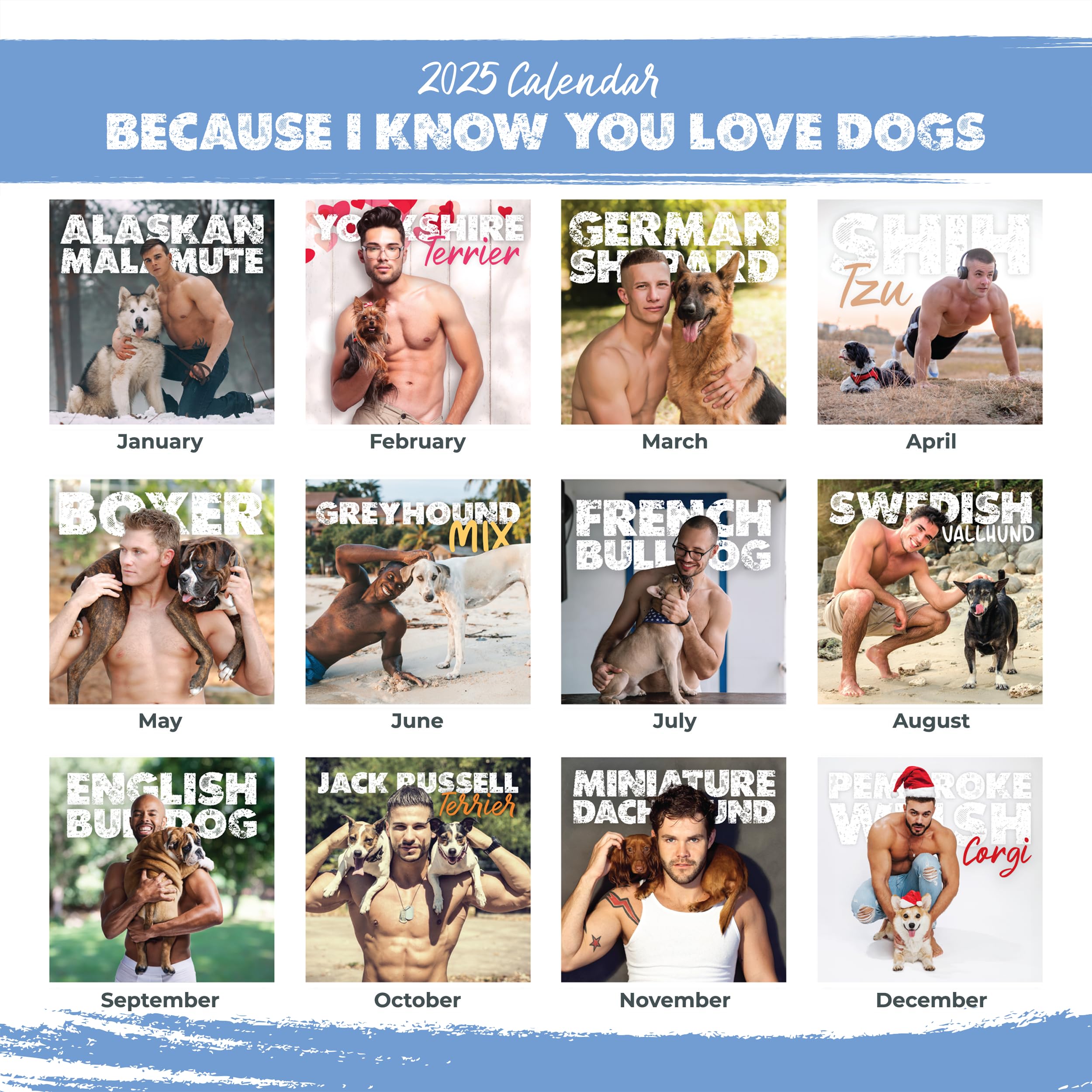 Funny 2025 Hot Guys & Dogs Wall Calendar - 12