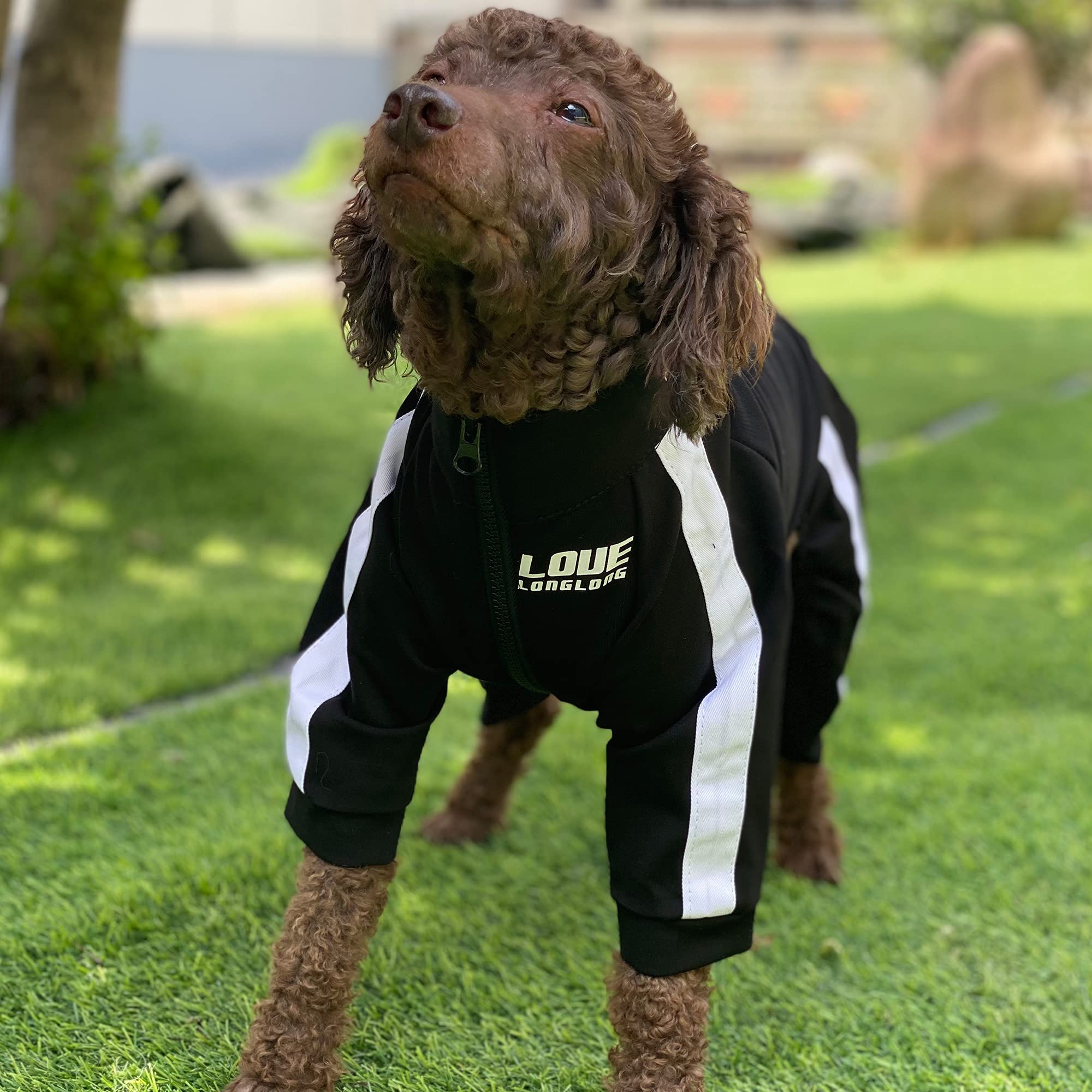 Zipper Dog Sweatshirt - 4-Legs Covered Sport Suit for Small Medium Large Dogs | Breathable Comfortable Dog Sweater in Black | Perfect for Outdoor Adventures, Jogging & Cold Weather Protection