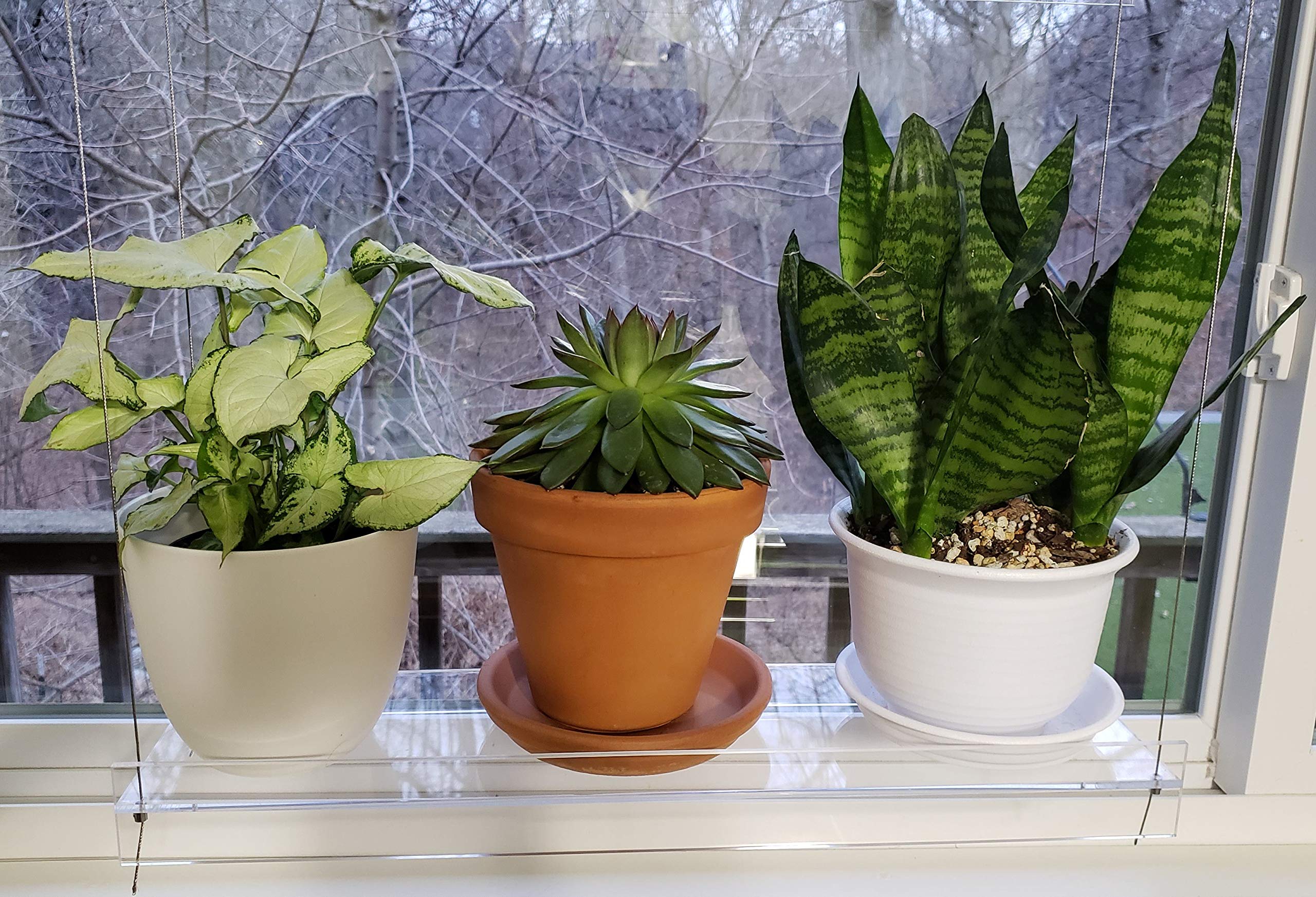 Clear Acrylic Window Shelves for Plants & Decor - 22