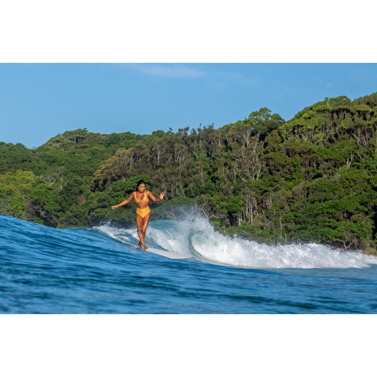 Aloha Pintail Noserider 9'6 Surfboard - Premium PU PVC Construction for Smooth Rides | Perfect for Longboard Surfing & Wave Riding in Hawaii