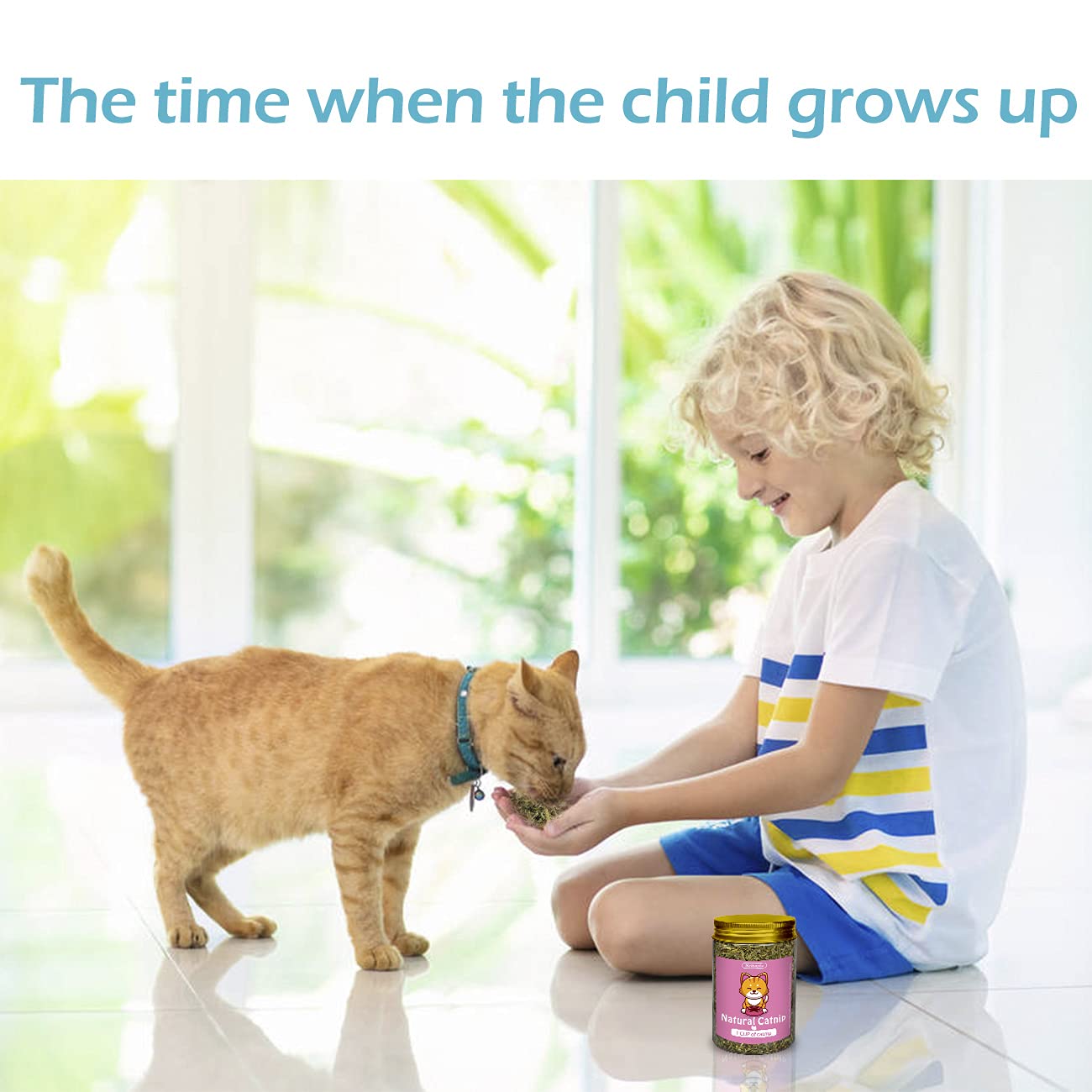 Premium Organic Catnip Leaves for Cats - 1 Cup - Stimulates Play & Relaxation - Great for Toys, Training & Stress Relief