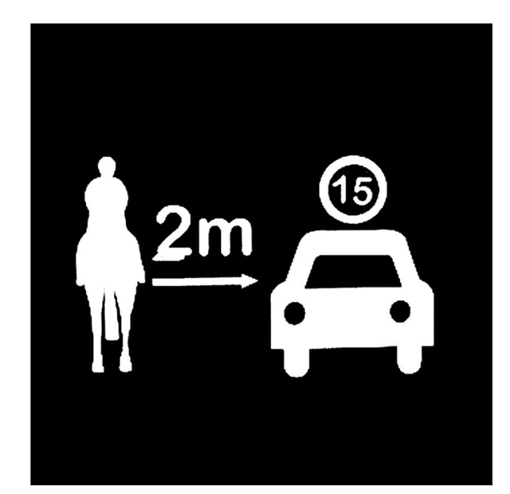 Funny Dog & Horse Rider Car Stickers - 20cm x 12.2cm Keep Your Distance Decals for Car Window & Bumper - Black/Silver Vinyl Automotive Decoration - Perfect for Personalizing Vehicles & Expressing Your Style