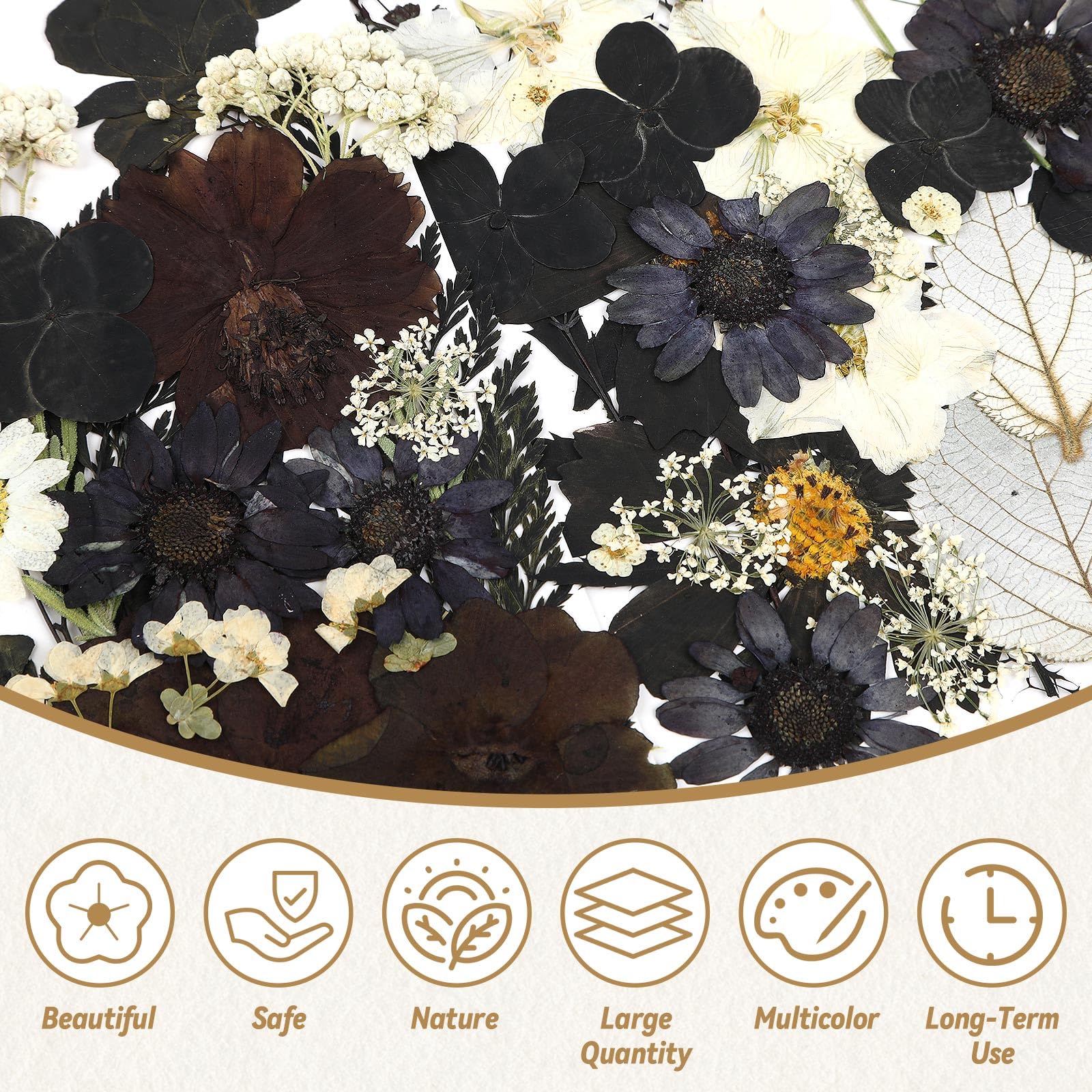 120 Pcs Black Dried Pressed Flowers for Resin Molds - Real Pressed Flowers for DIY Crafts, Jewelry Making, Scrapbooking, Candle & Soap Making - Perfect for Halloween Decorations & Home Craft Projects