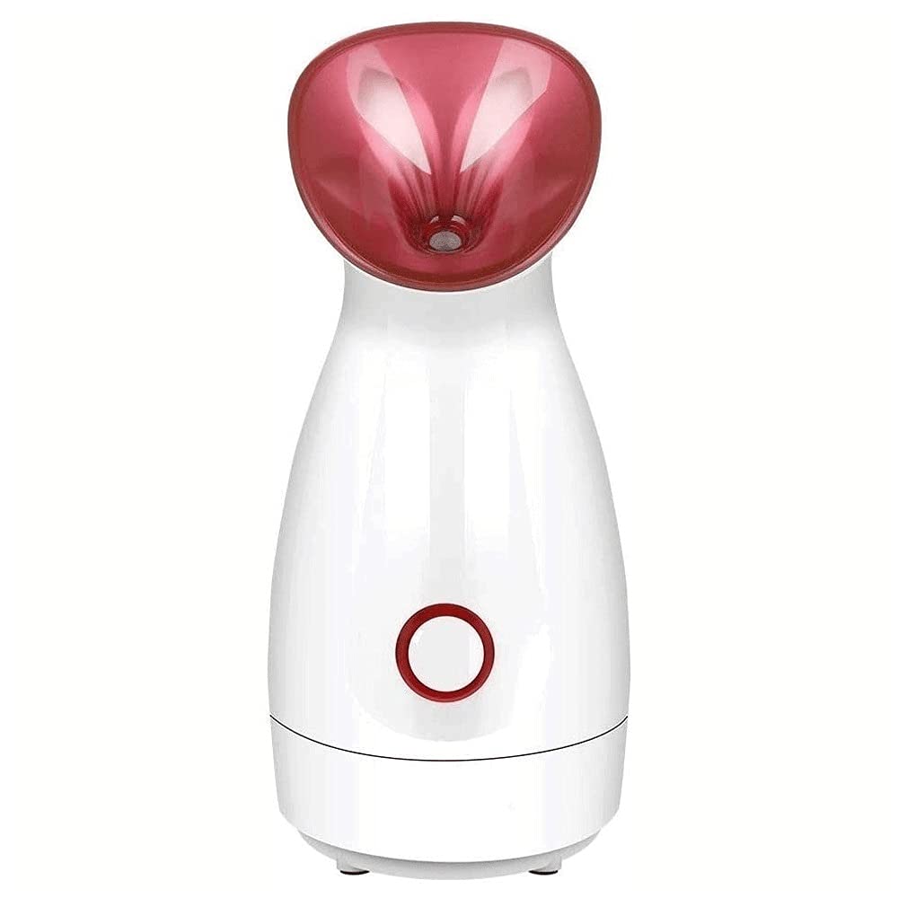 Nano Ionic Facial Steamer with Warm Mist - Household Ion Humidifier for Skin Hydration & Spa Treatment, One-Button Smart Control | Perfect for Home Facial Care & Relaxation