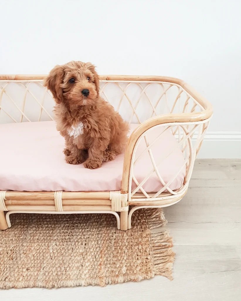 Bella Rattan Dog Bed - Washable Pet Bed for Small & Medium Dogs - Indoor & Outdoor Use - Perfect for Living Room, Patio, or Bedroom