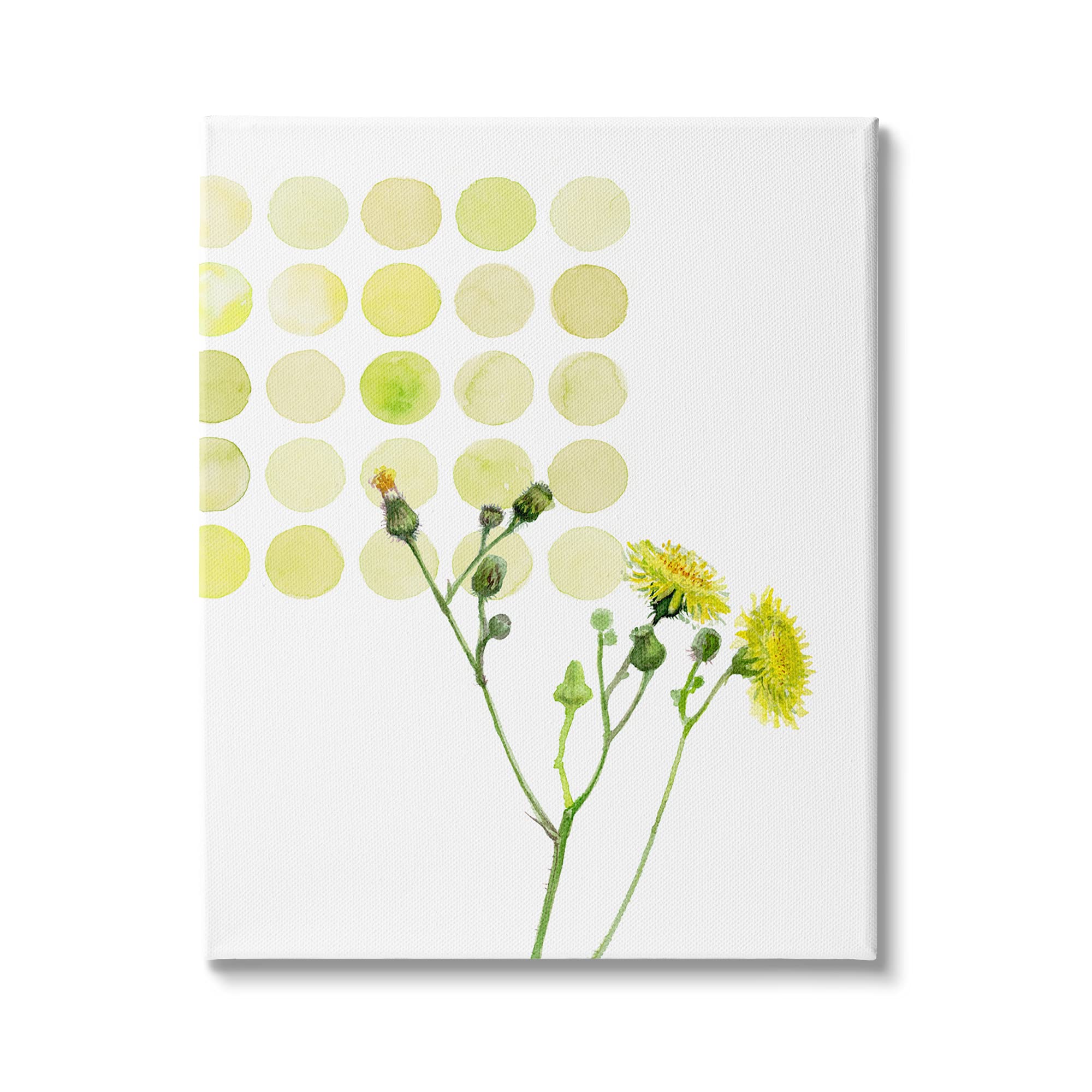 Stupell Industries Abstract Summer Circles Floral Painting - Dandelion Flowers Watercolor Canvas Wall Art by Verbrugge, 36