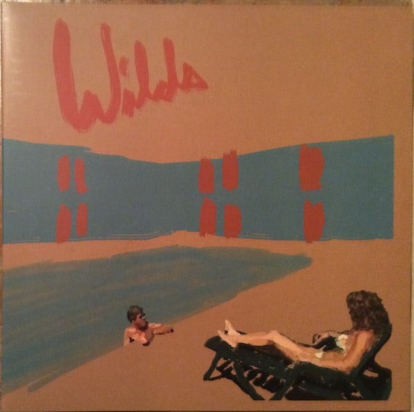 Andy Shauf Wilds Vinyl LP Album Mint Condition - Perfect for Record Collectors & Music Lovers - Ideal for Home Listening, Gifts & Vinyl Collections