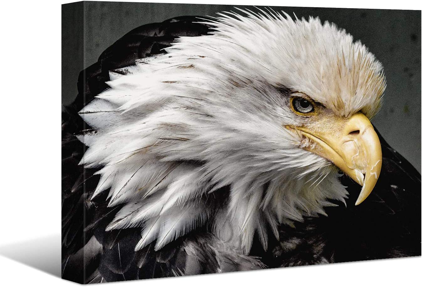 Laoife Eagle Canvas Wall Art - 48x36 Inches Wildlife Digital Painting, Colorful Ready to Hang Canvas Print for Living Room, Bedroom & Office Decor - Perfect for Nature Lovers & Home Interior Design