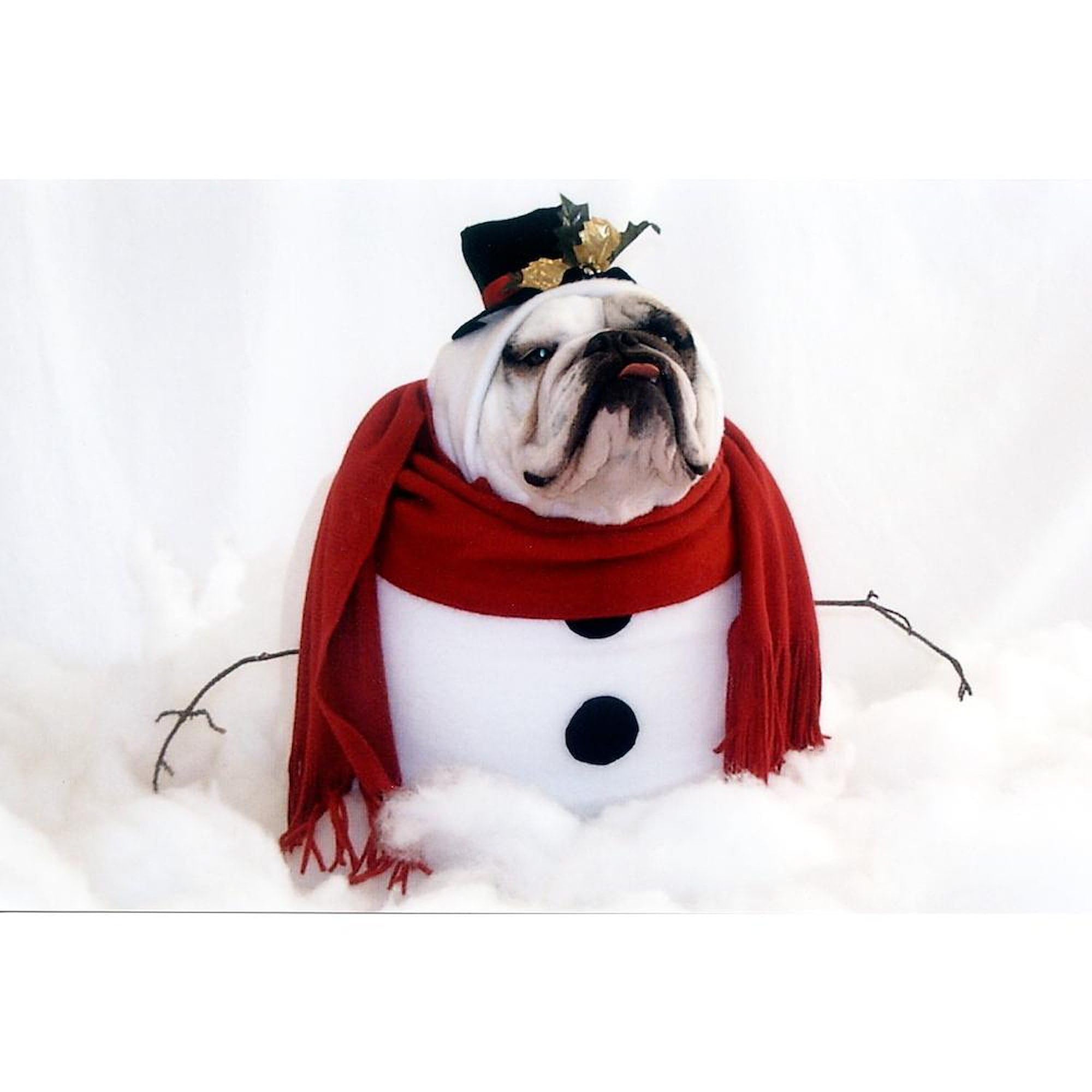 20 oz Snowman Ceramic Coffee Mug - Large Insulated Mega Cup for Hot Cocoa, Tea & Coffee - Perfect for Winter Holidays, Christmas Gifts & Cozy Home Decor