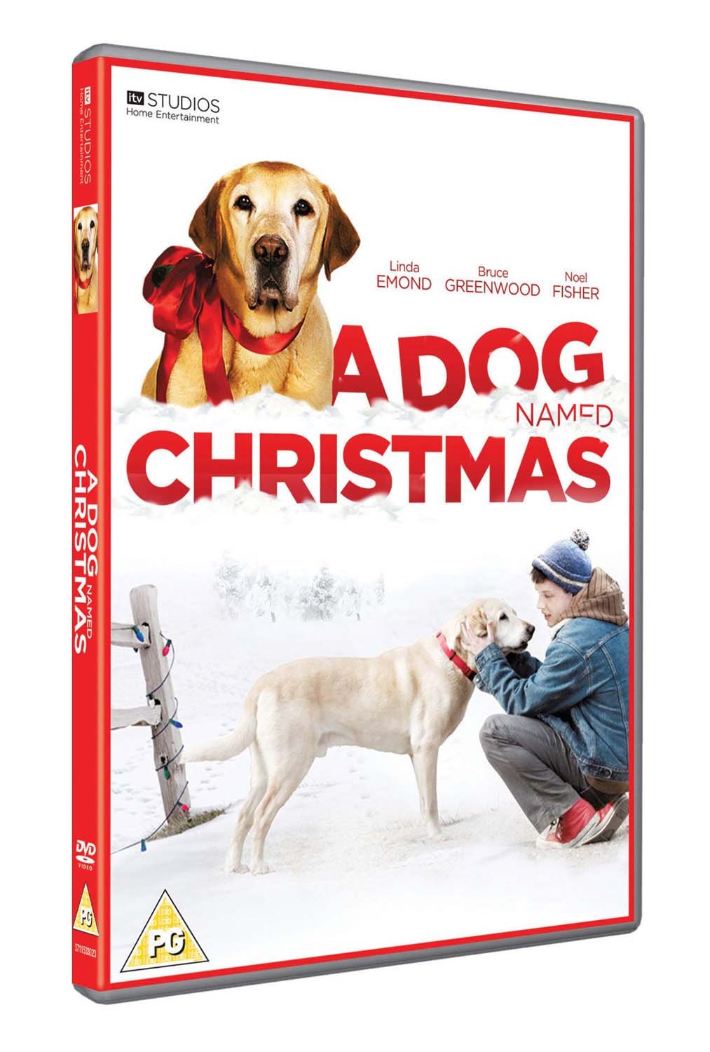 Dog Named Christmas - Heartwarming Holiday Pet Story Book for Dog Lovers | Perfect Gift for Christmas & Family Reading Time