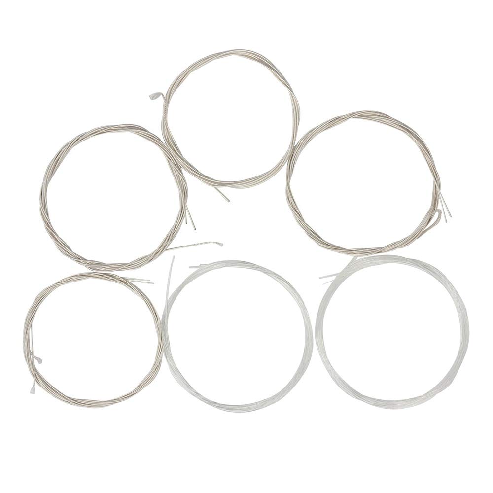 Premium Oud Strings Set (D-A-E-B-F) - Clear Nylon with Silver-Plated Copper Alloy Wound - 10 or 12 Strings for Professional Oud Players - Perfect for Middle Eastern Music Performances & Practice Sessions