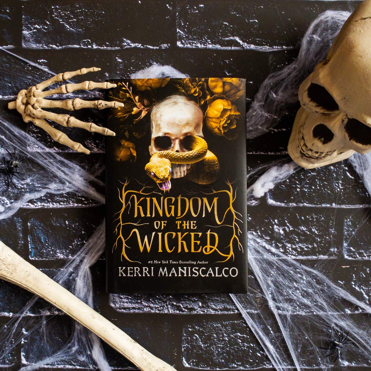 Kingdom of the Wicked - Dark Fantasy Novel by Kerri Maniscalco | YA Gothic Horror Book Series | Perfect for Halloween Reading & Book Club Discussions