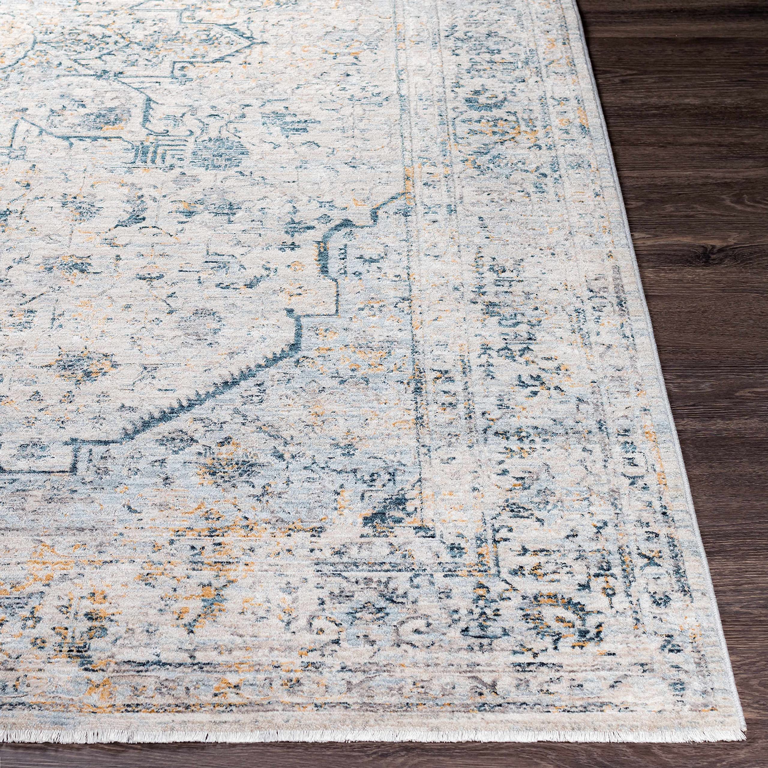 Hauteloom Anmoore Soft Area Rug for Living Room & Bedroom - 5'3