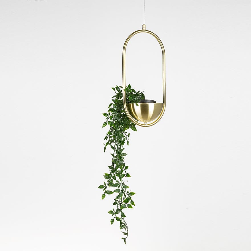 EVORA 1 Planter Frame - Modern Indoor/Outdoor Garden Planter Box with Durable Metal Frame - Perfect for Home Decor, Balcony, Patio & Backyard Gardening