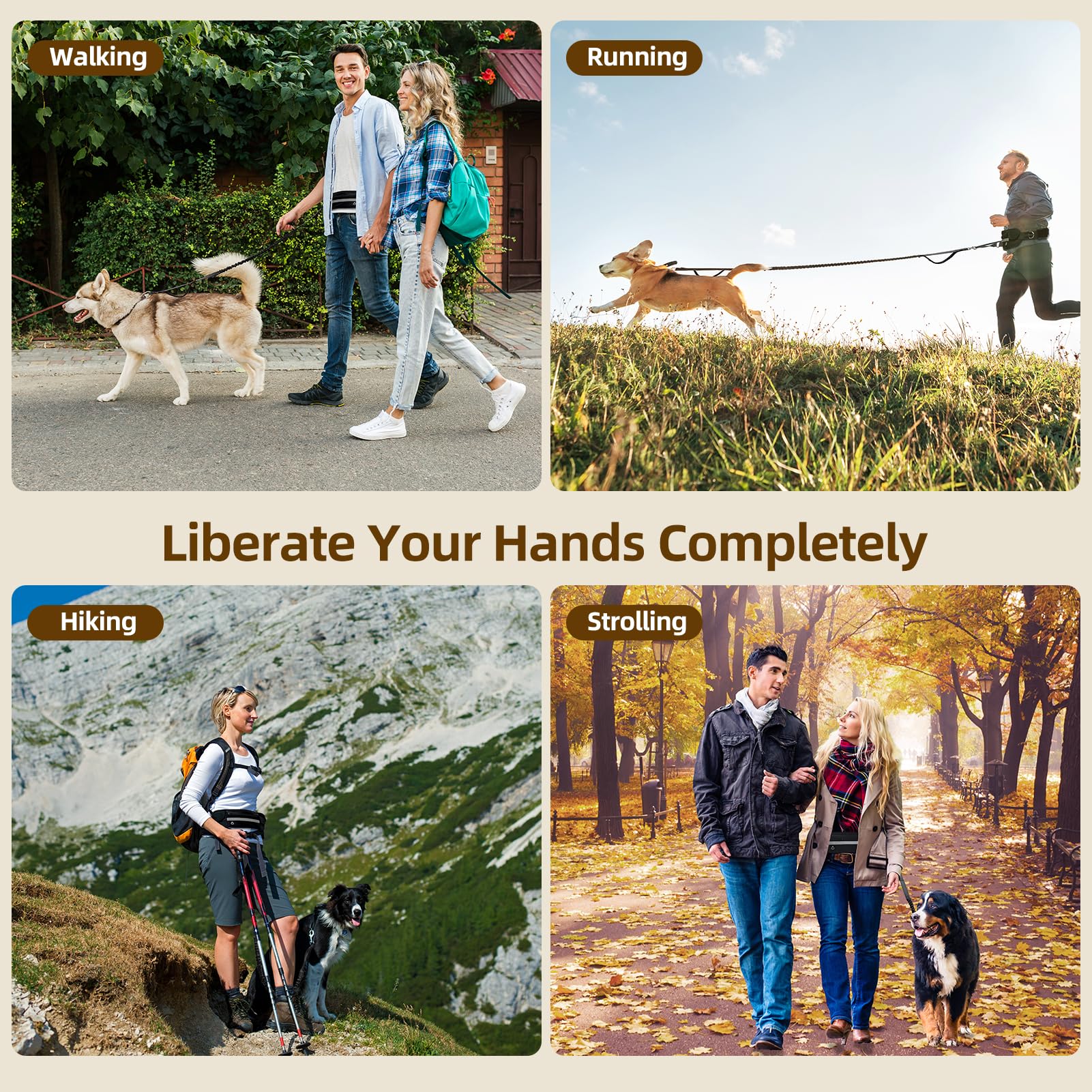 Hands Free Dog Leash with Zipper Pouch - Dual Padded Handle Waist Belt for Small & Medium Dogs | Retractable Bungee Leash with Reflective Stitches | Perfect for Running, Walking, Jogging & Training (Black)