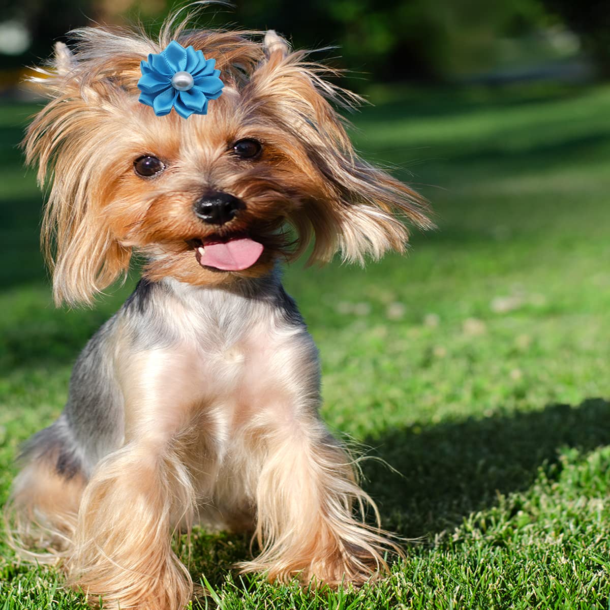 50 Pcs Cute Dog Hair Bows with Rubber Bands - Pet Topknot Bows for Small Dogs - Holiday & Party Dog Grooming Accessories - Perfect for Birthday, Christmas & Daily Styling