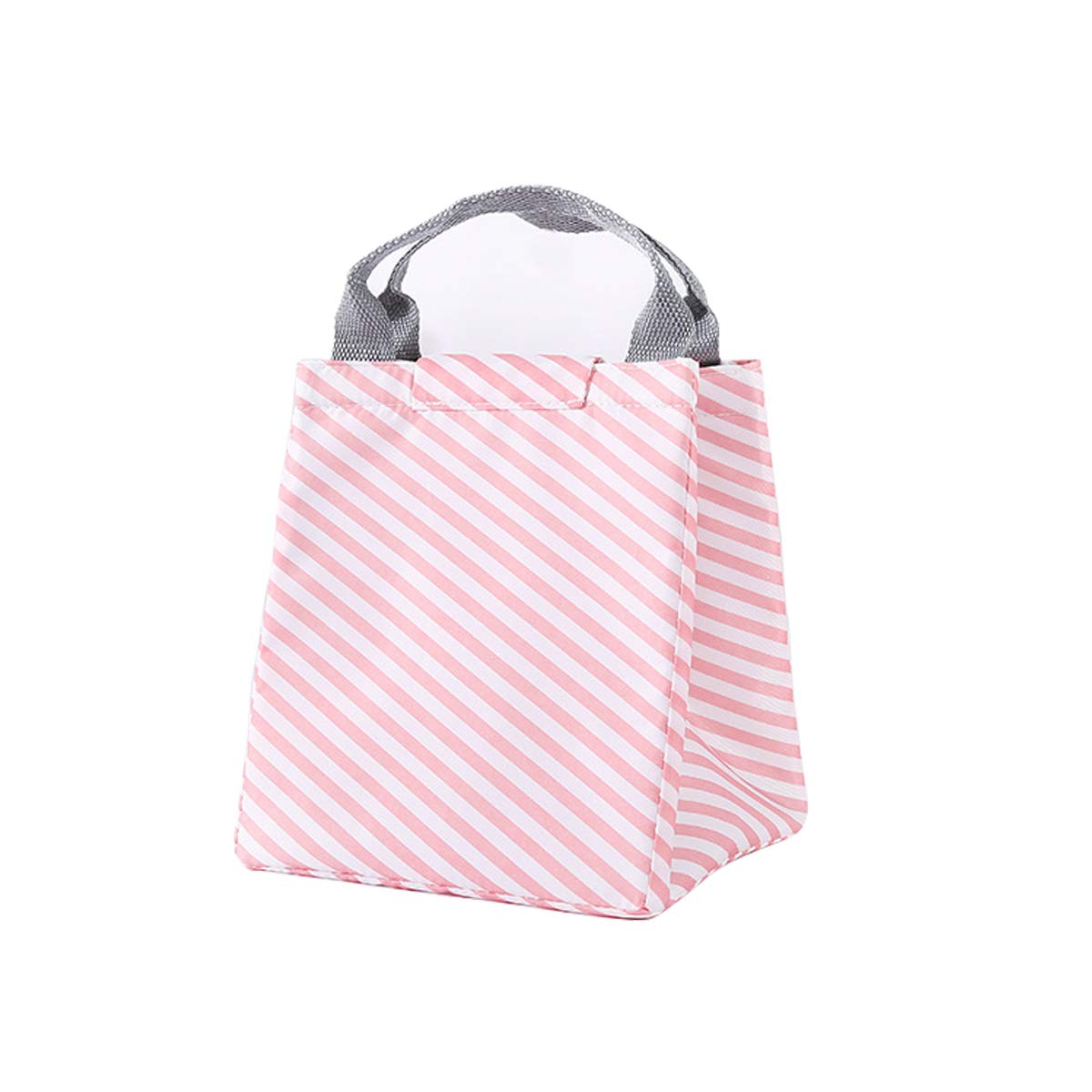 Goaup Insulated Lunch Bag for Women & Kids - Reusable Tote Bento Box for Travel, Work, School & Picnic - Printed Canvas Fabric Soft Lunch Box - Perfect for Office, Hiking & Family Outings