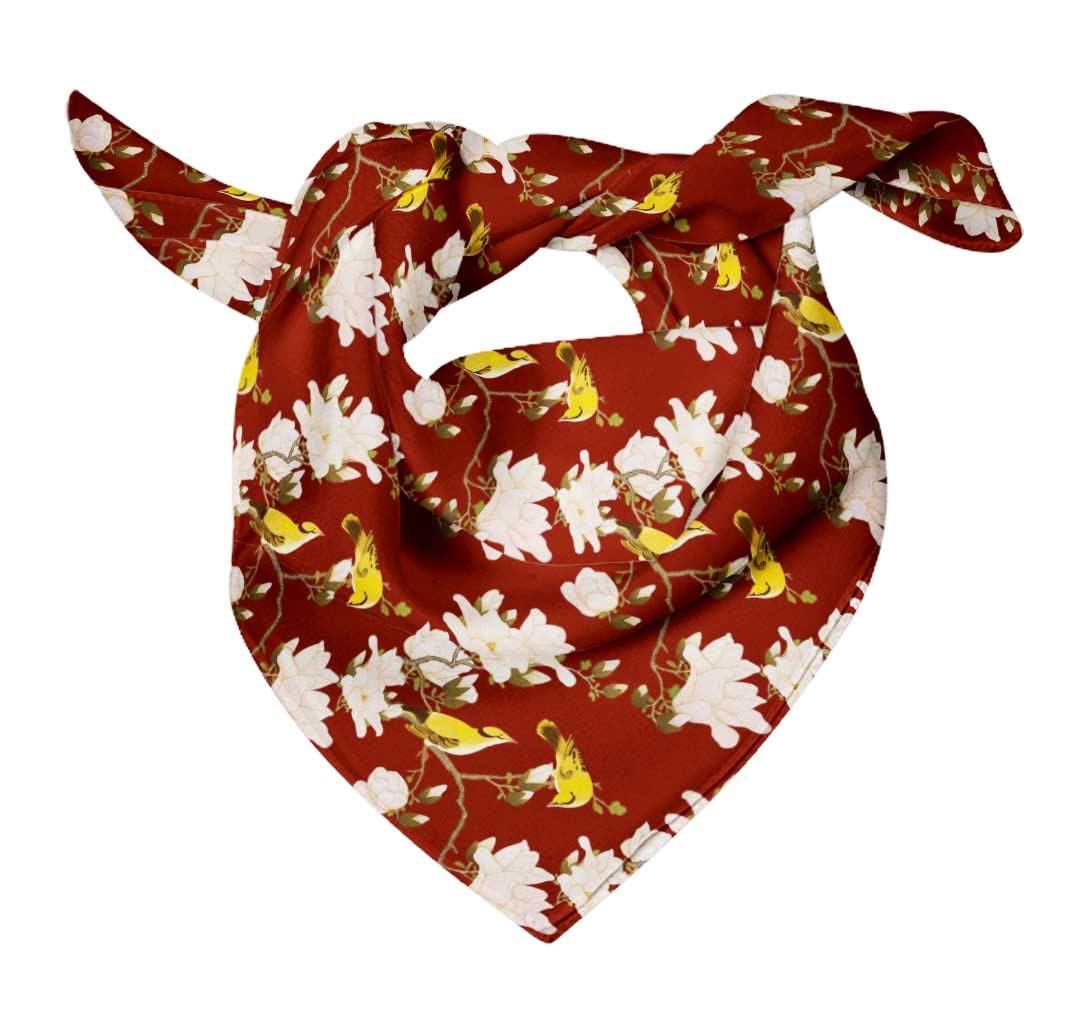 Bimba Printed Pure Silk Scarf for Women - Elegant Hair Neck Head Bandana Wrap - Perfect for Office, Party, Wedding & Travel Accessories