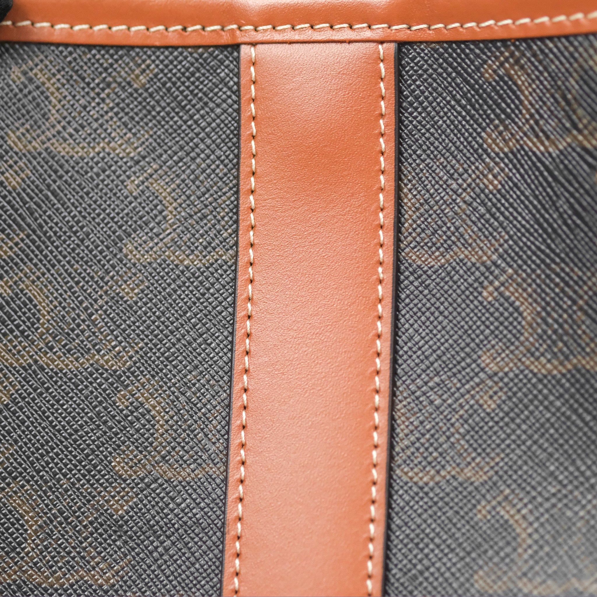 Celine Small Bucket Bag in Triomphe Canvas & Tan Calfskin Leather - Perfect for Everyday Use, Work & Travel