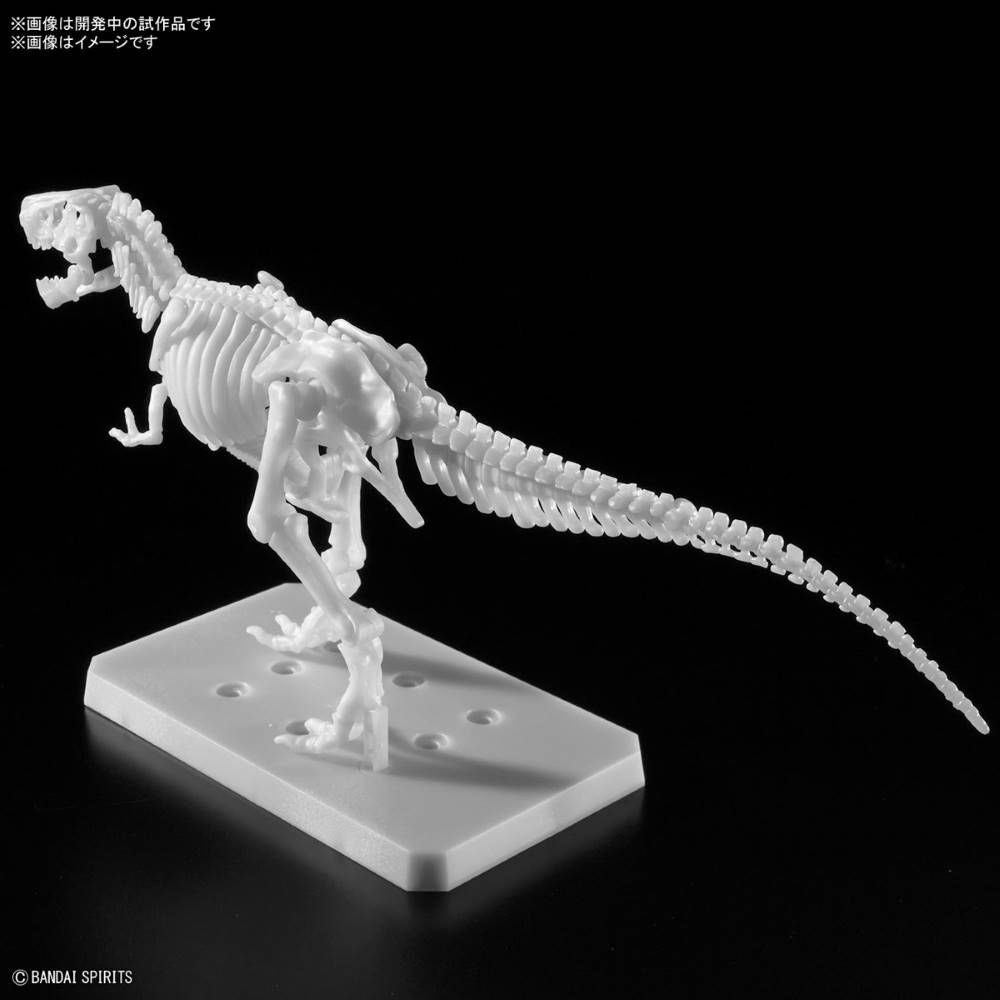 Bandai Plannosaurus Tyrannosaurus Rex (Painting Version) Dinosaur Model Kit - Perfect for Collectors, Science Education & Dinosaur Enthusiasts