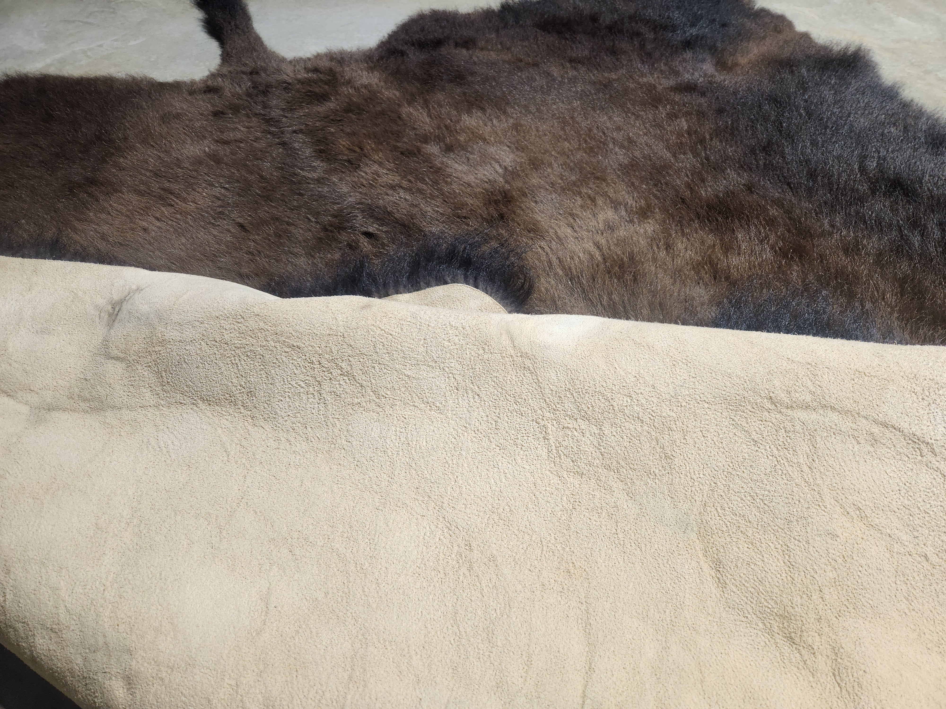 Premium Large Buffalo Robe - Soft & Warm Winter Blanket for Cozy Home, Cabin, or Outdoor Camping