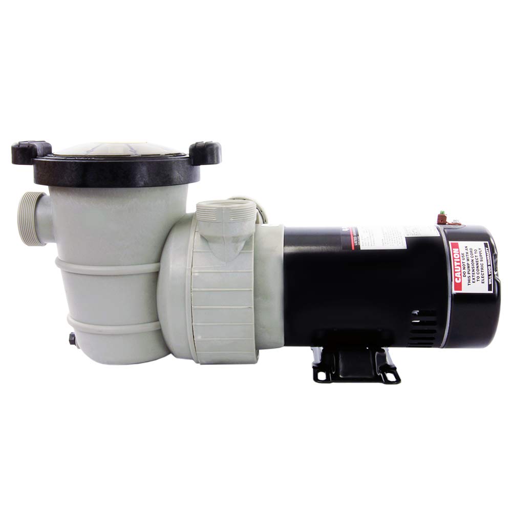 Rx Clear Dorado 1-1/2 HP Dual Port Above Ground Pool Pump | 115V 9 Amps Energy Efficient Swimming Pool Pump with See-Through Strainer Cover | Low Maintenance | Perfect for Backyard, Inground & Above Ground Pools
