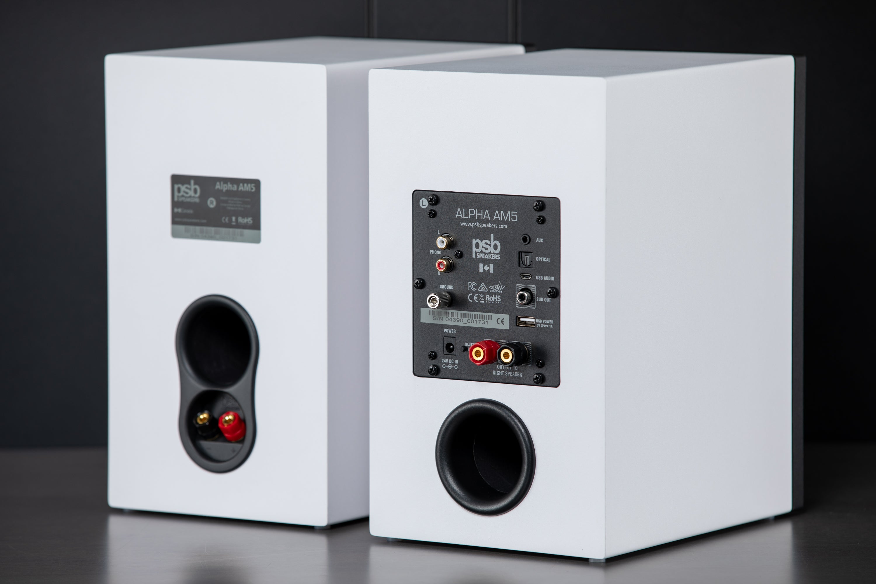 Wireless Bluetooth Bookshelf Speakers - Portable Stereo Sound System for Home, Office, and Outdoor Use | High-Quality Audio for Music, Movies, and Gaming